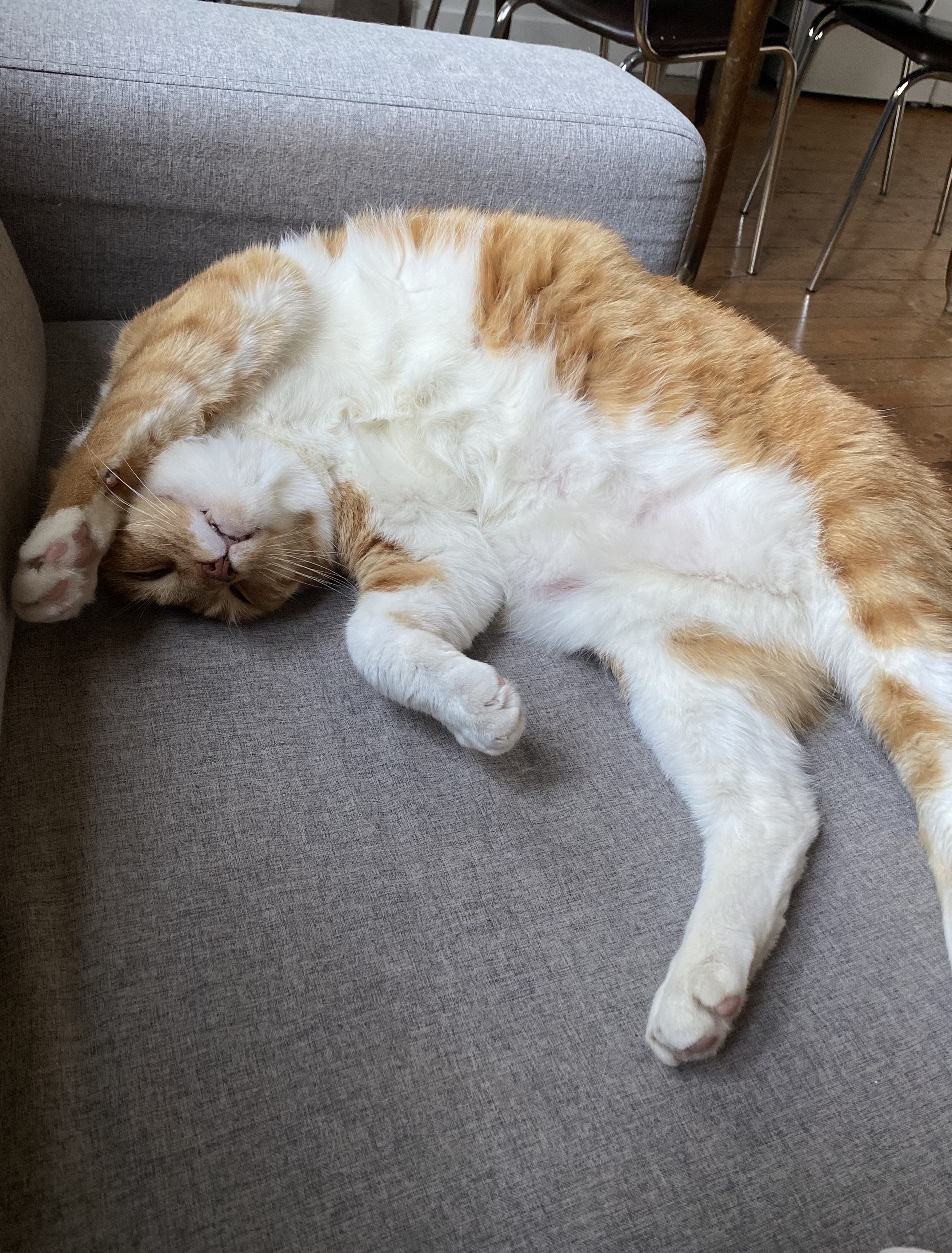 image-2