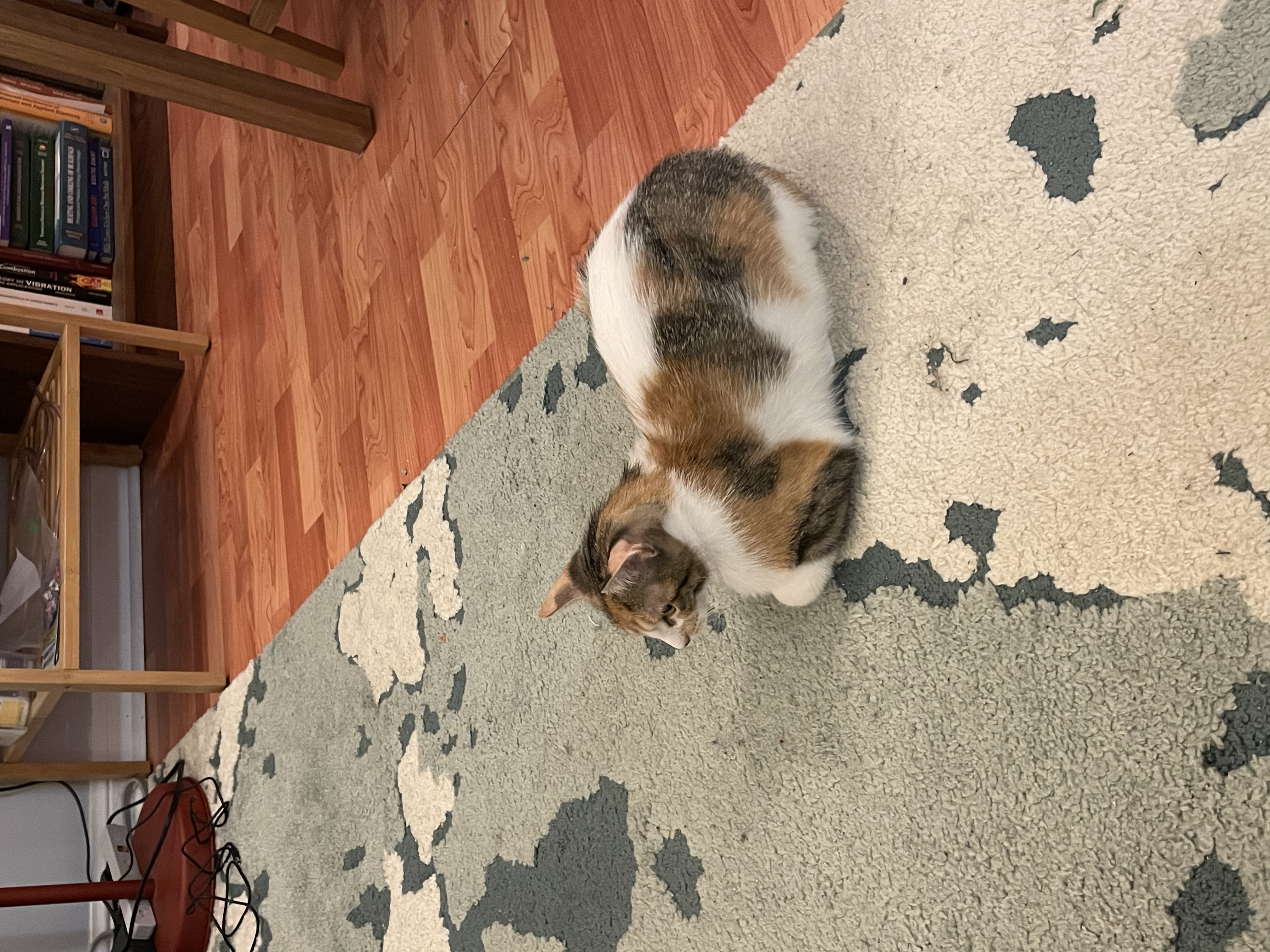 image-8