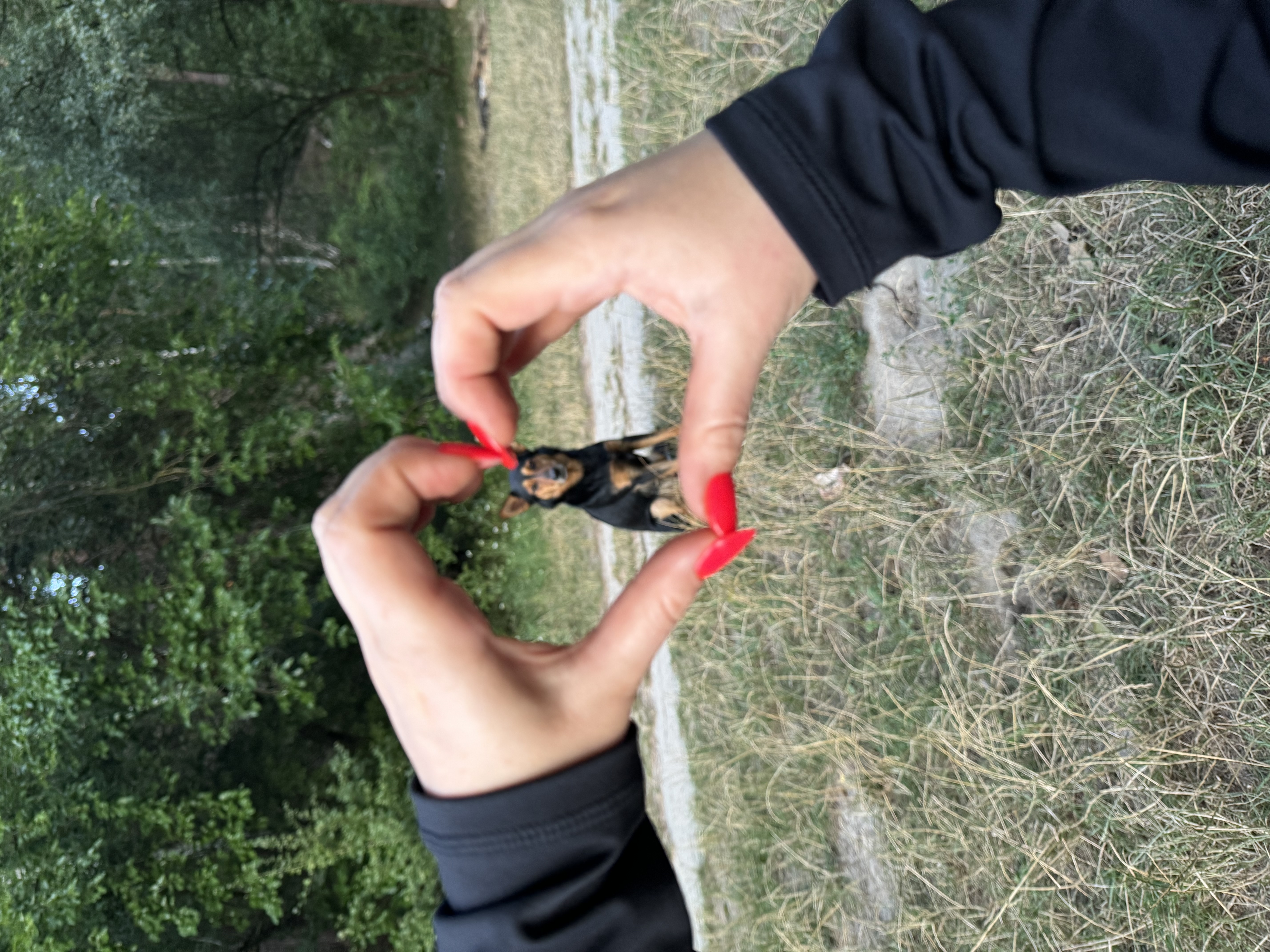 image-6