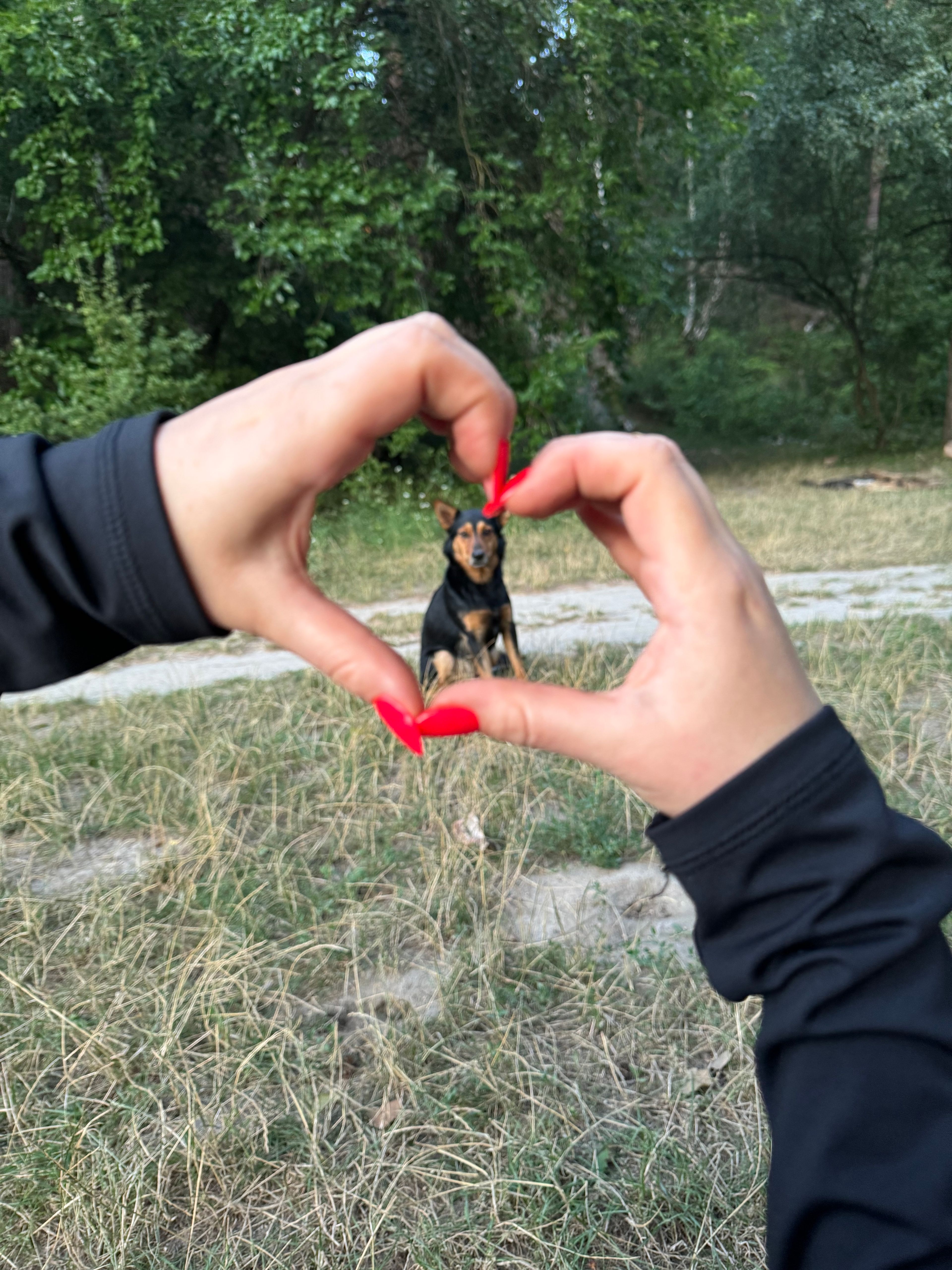 image-6