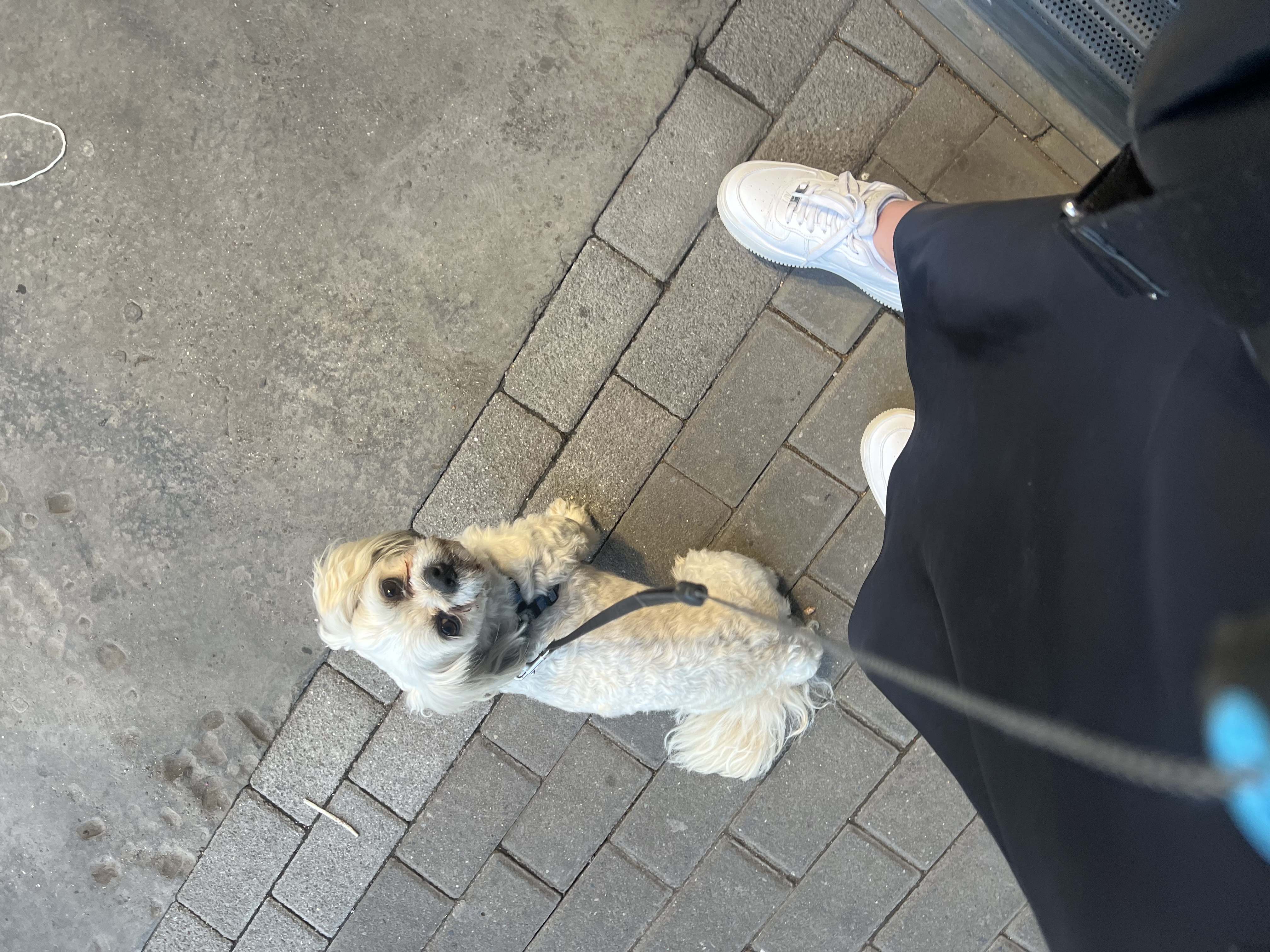 image-7