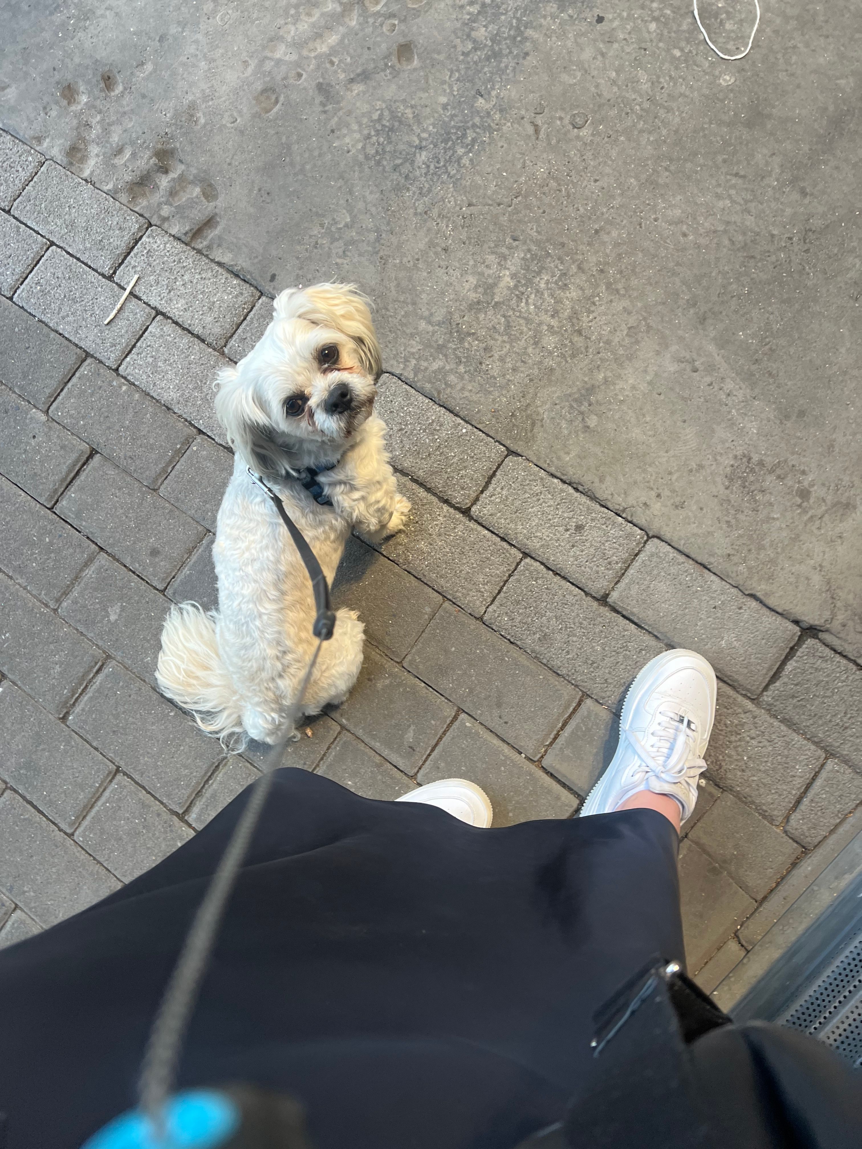 image-7