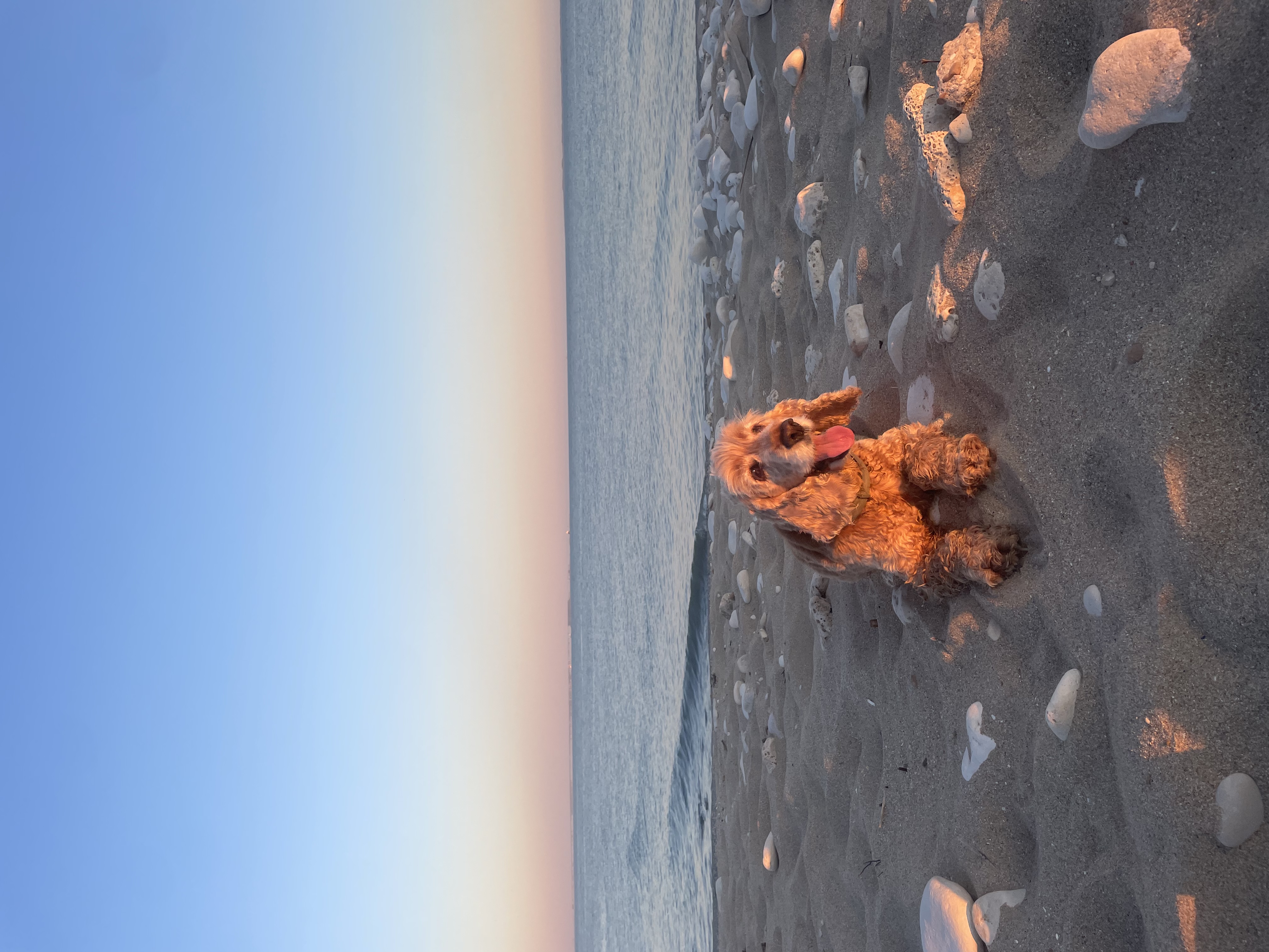 image-7