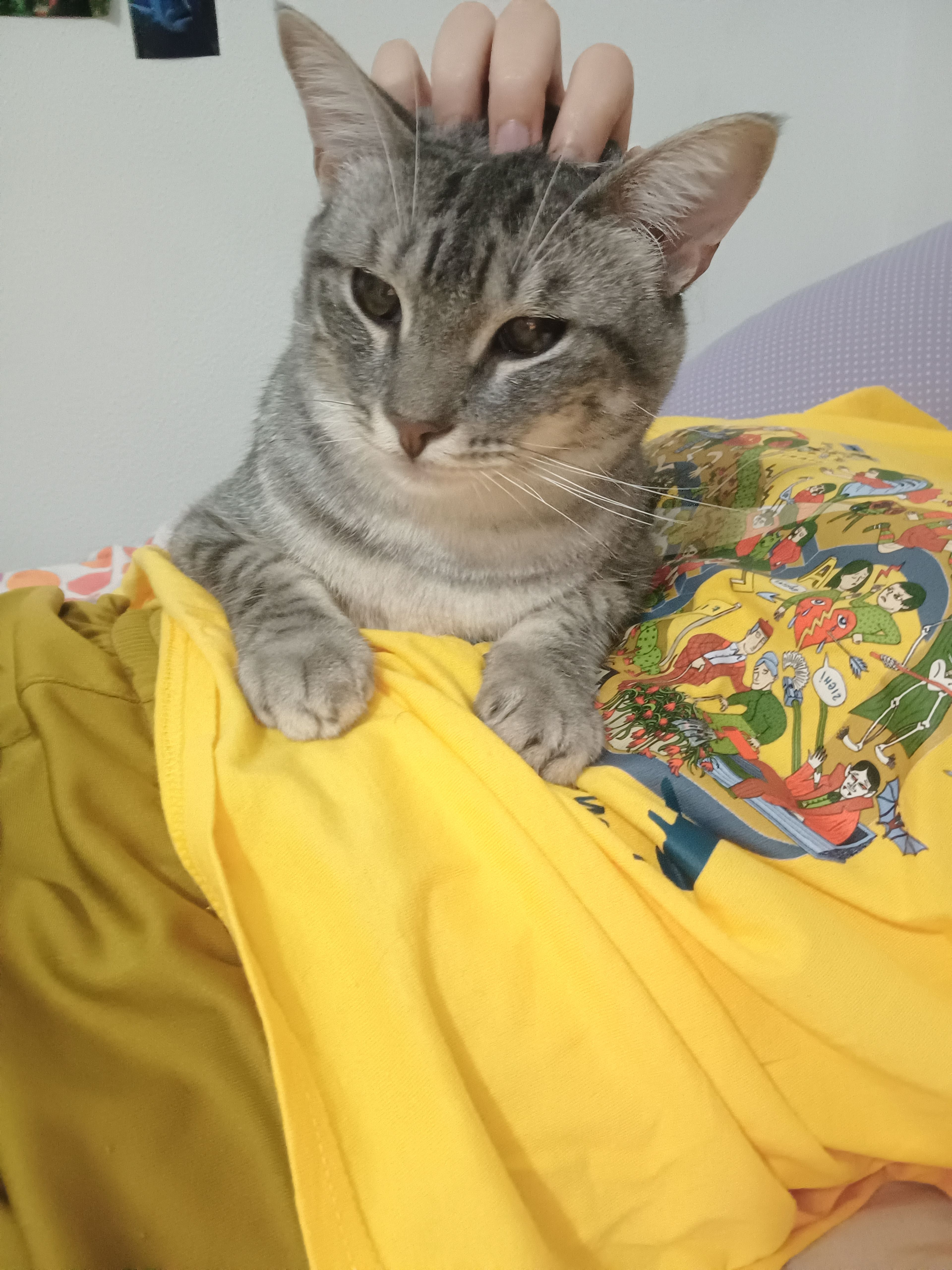 image-7