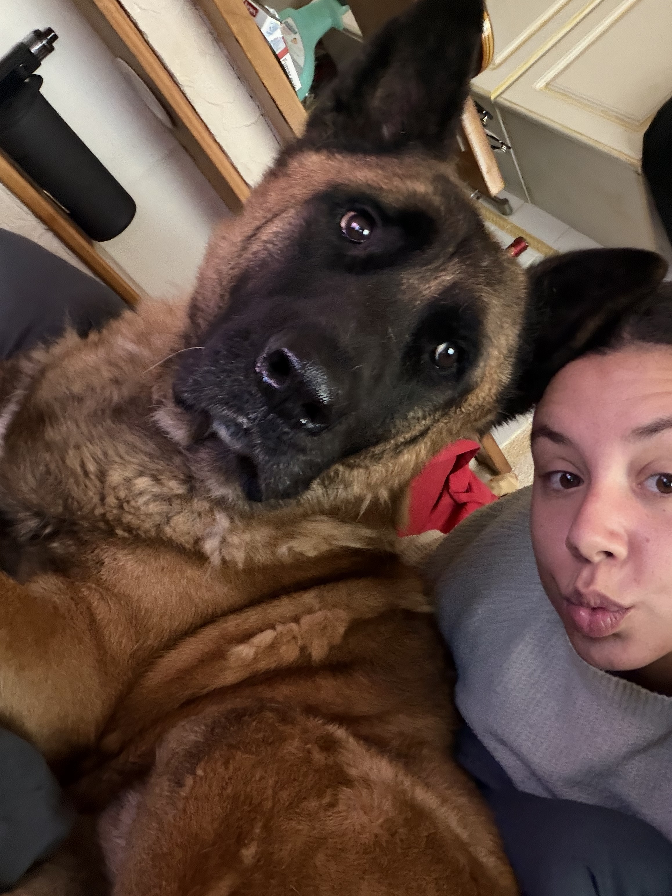 image-6