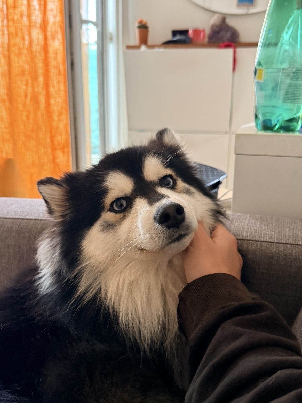 image-18