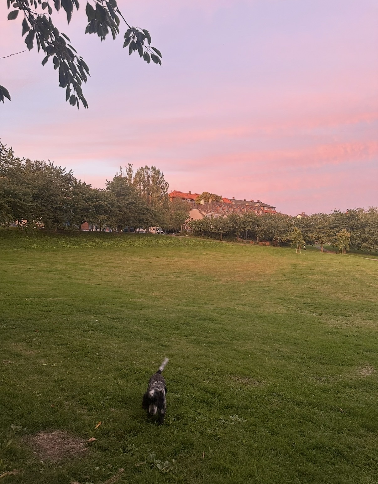 image-6