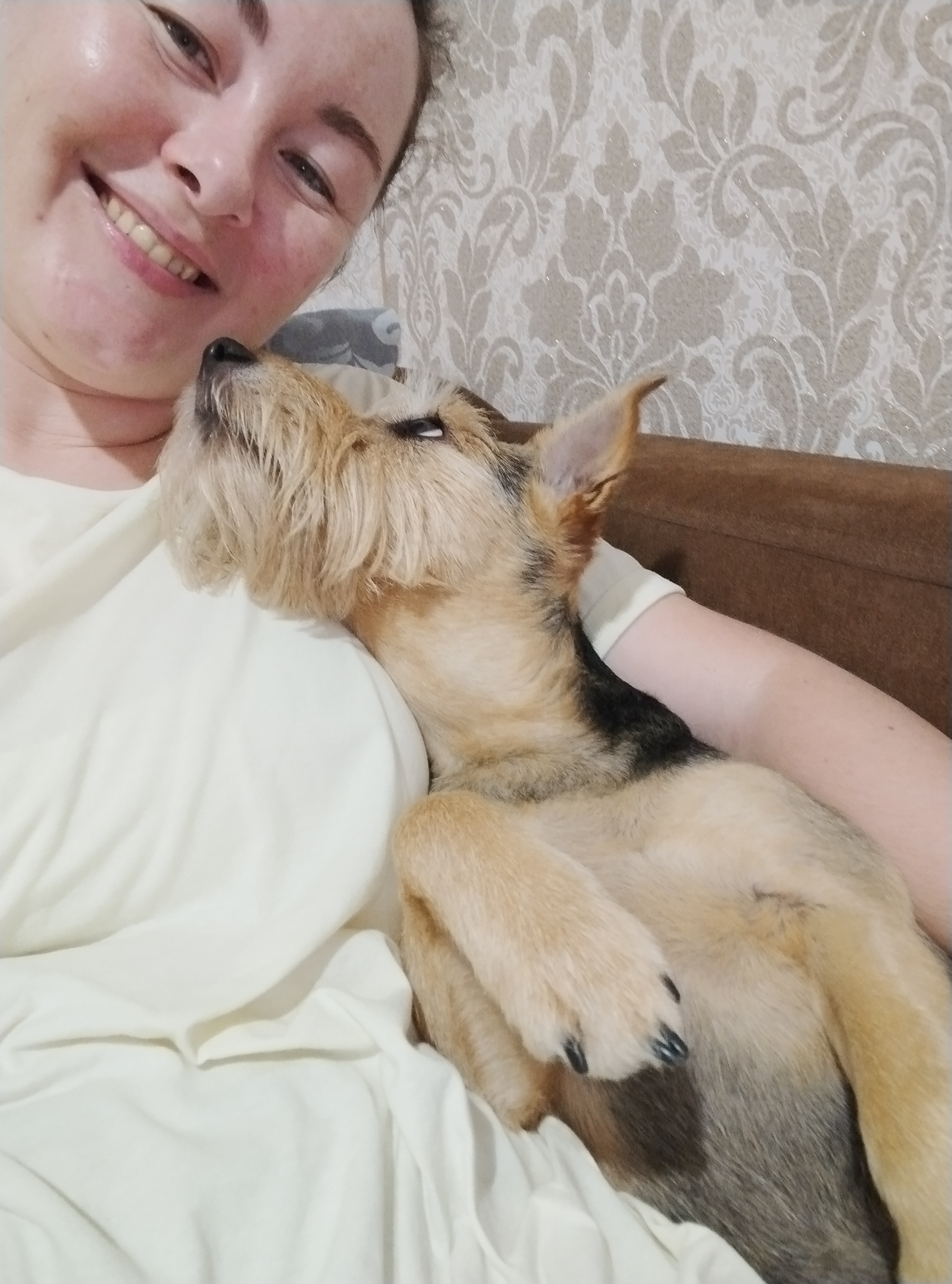 image-4