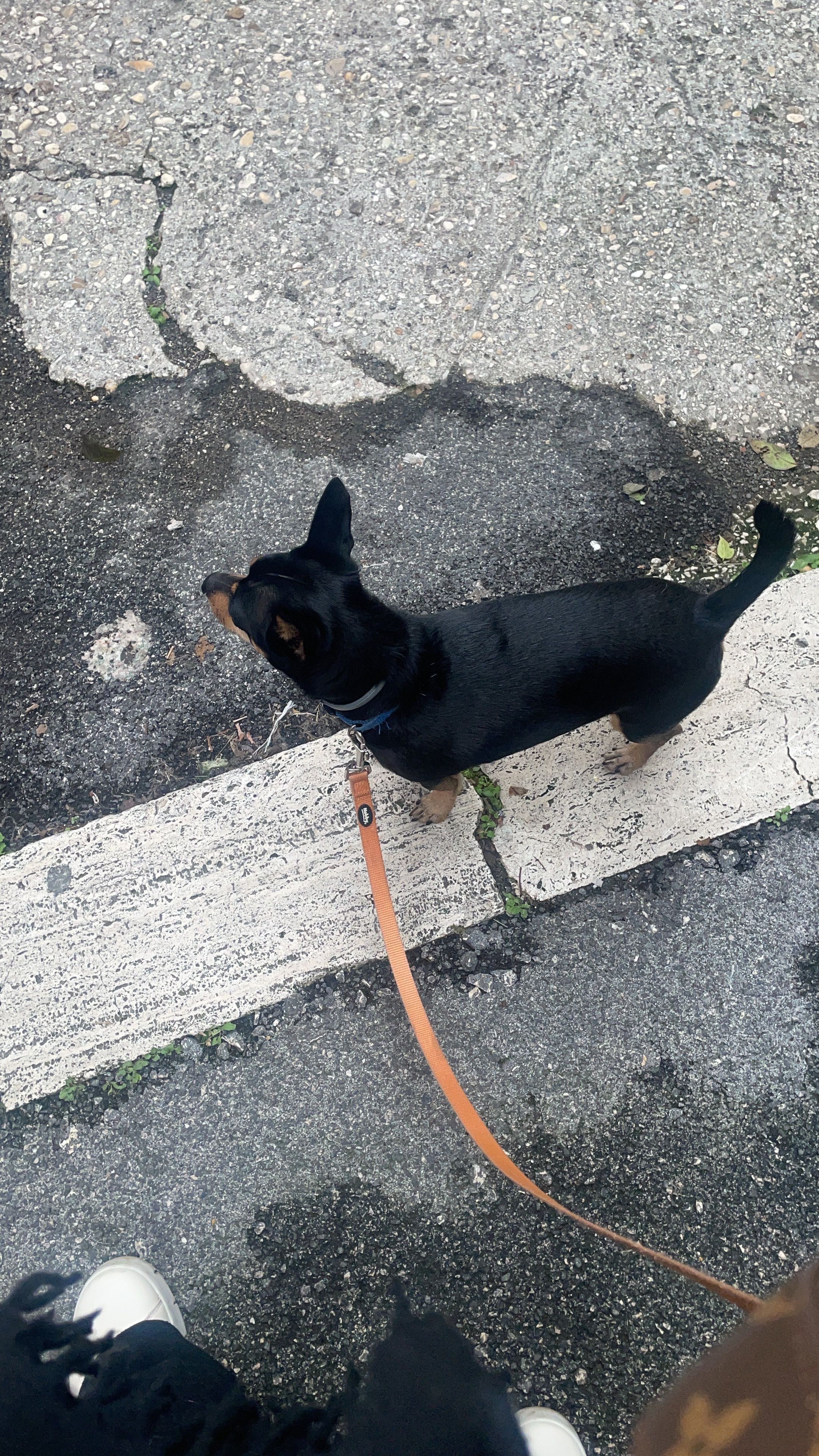 image-4
