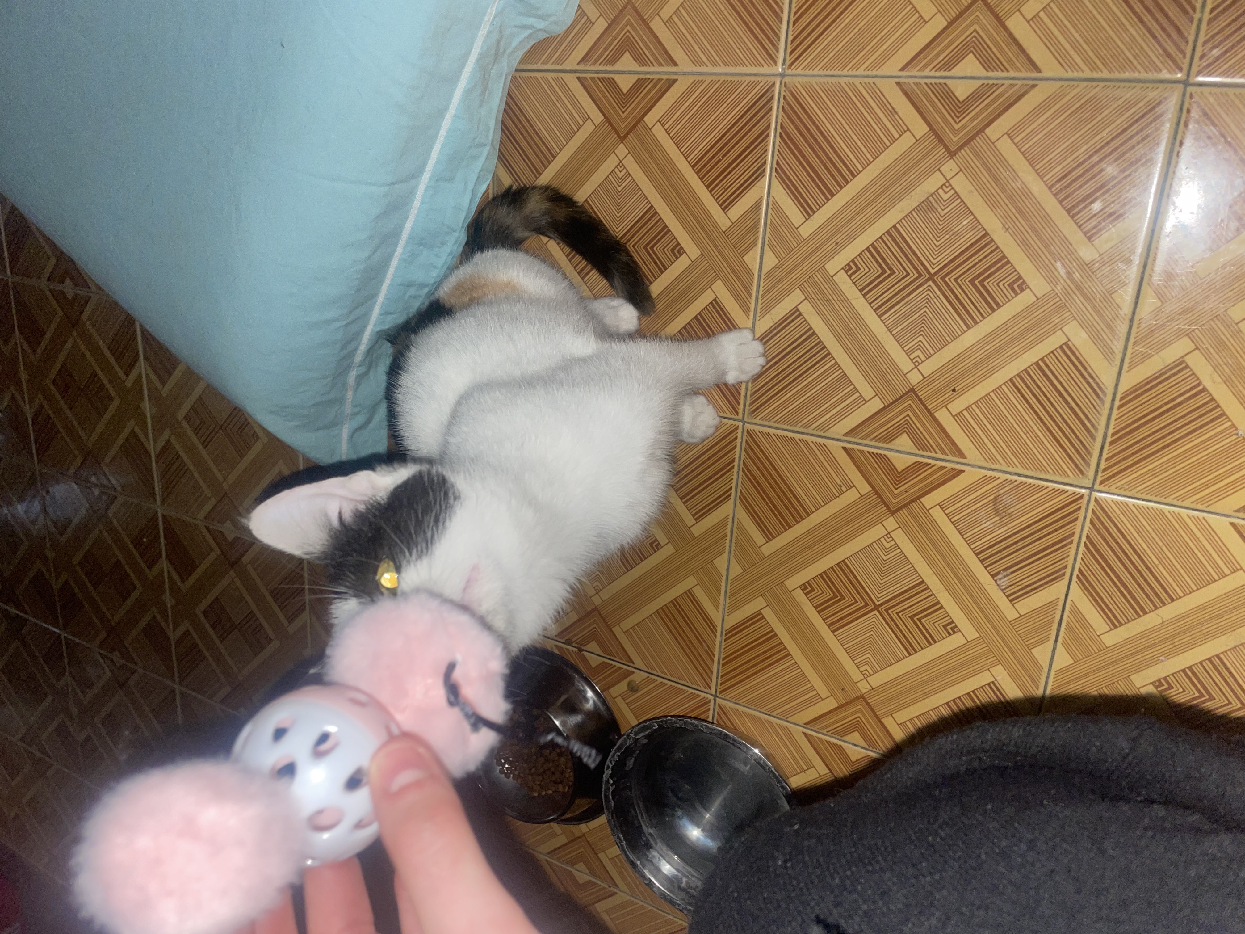 image-6