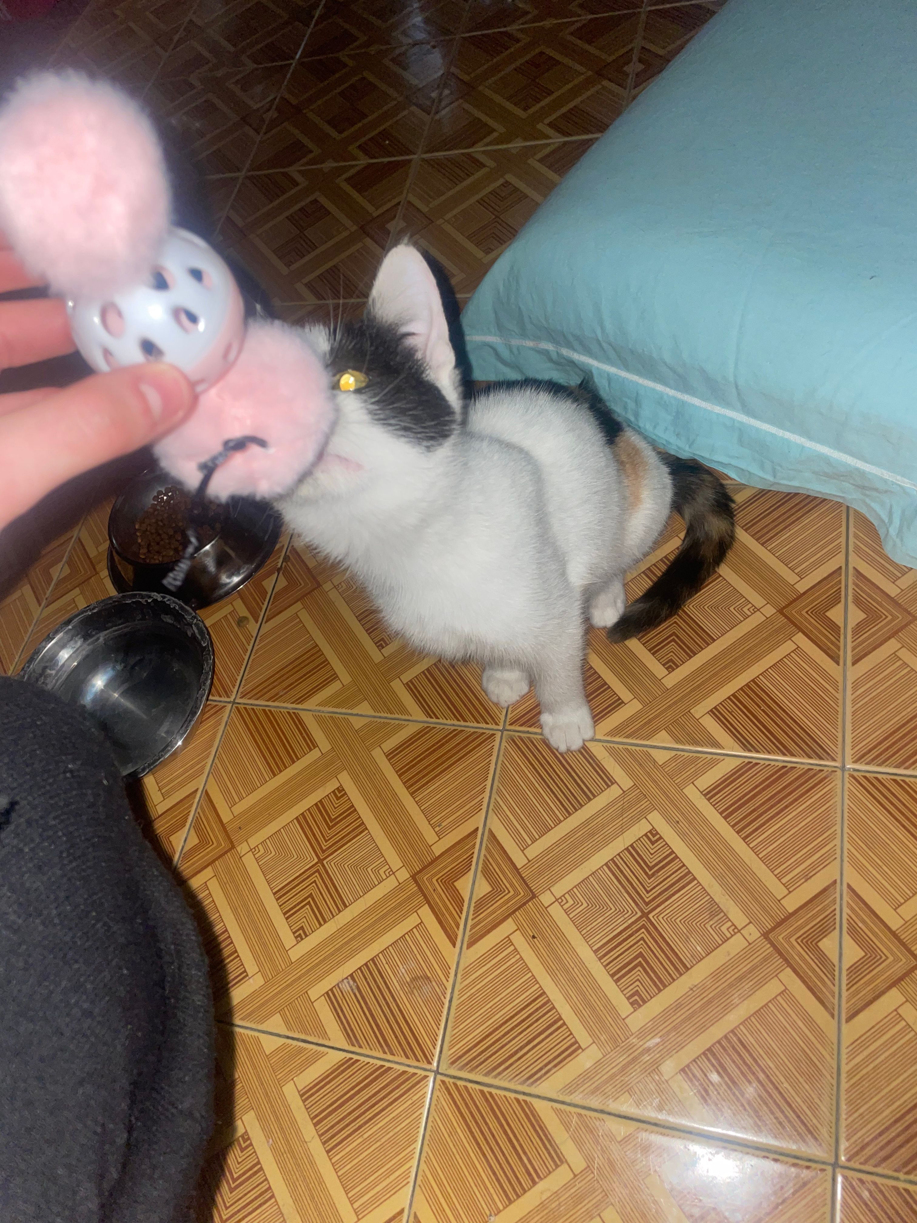 image-6
