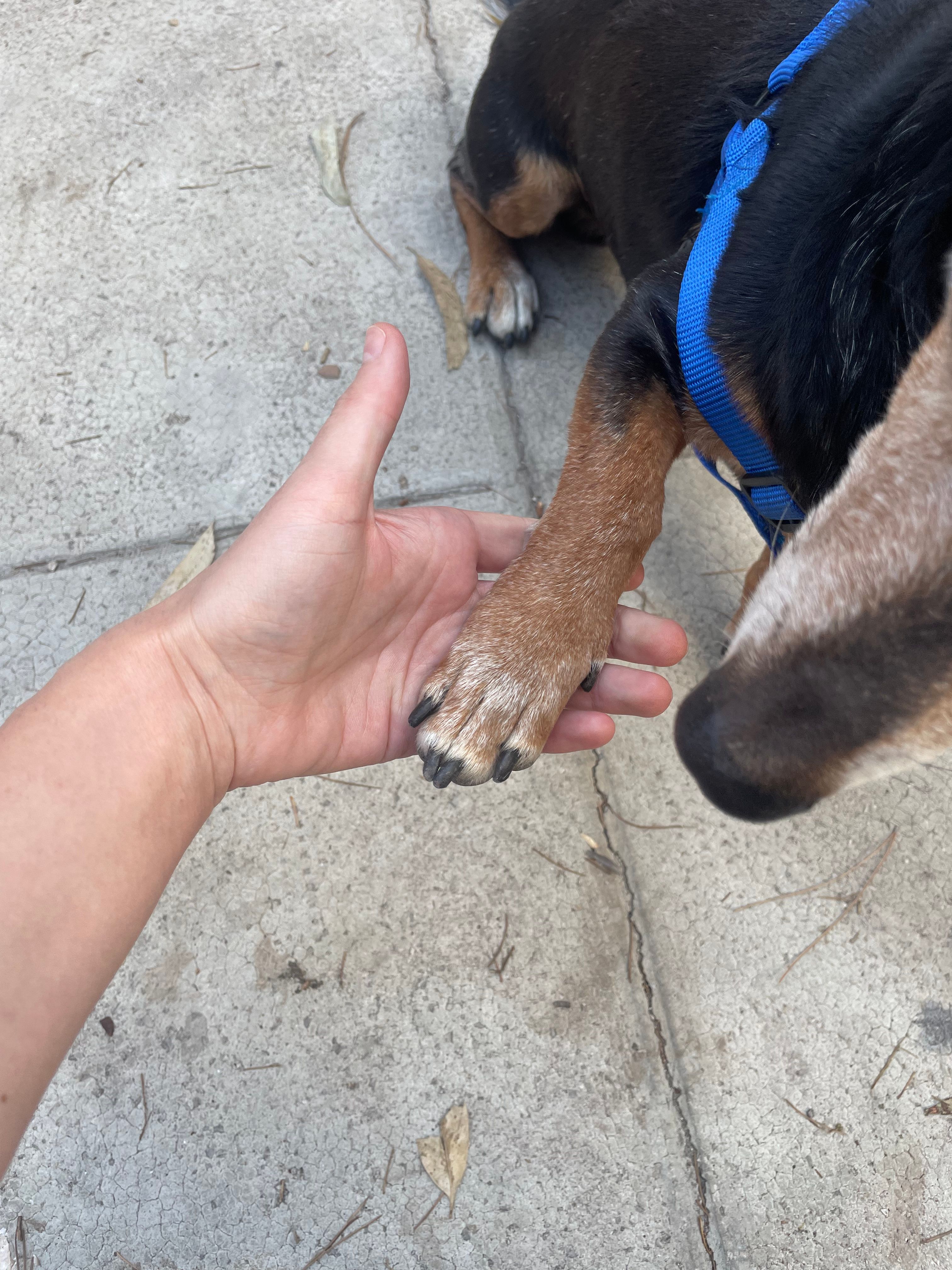 image-7