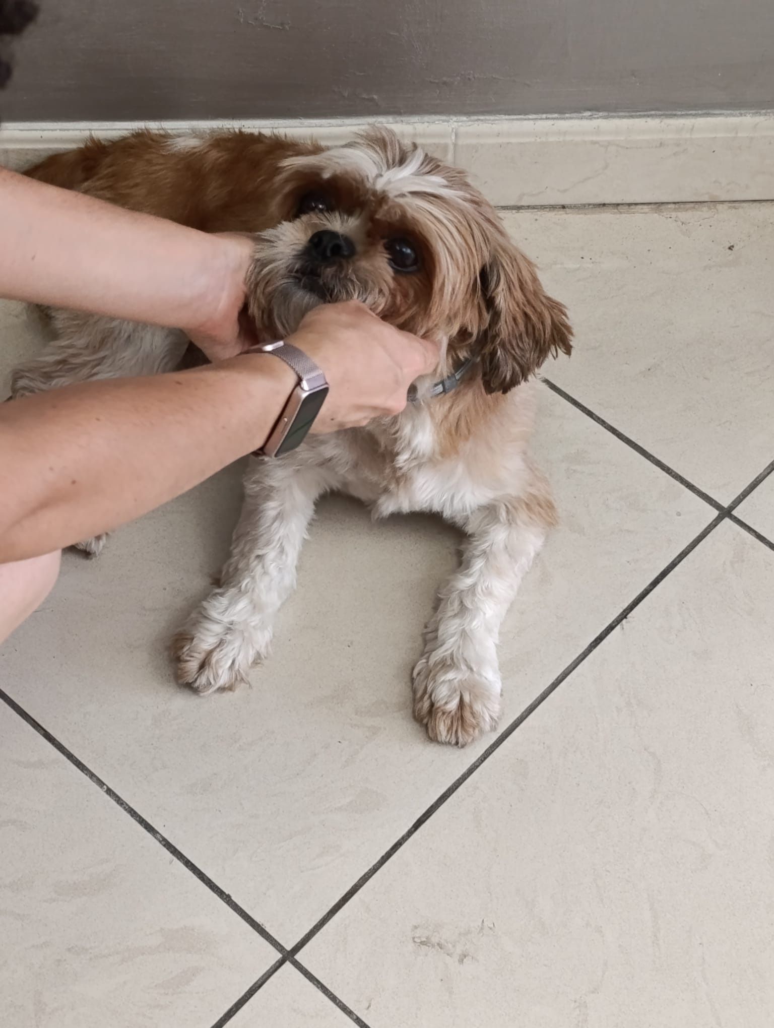 image-8