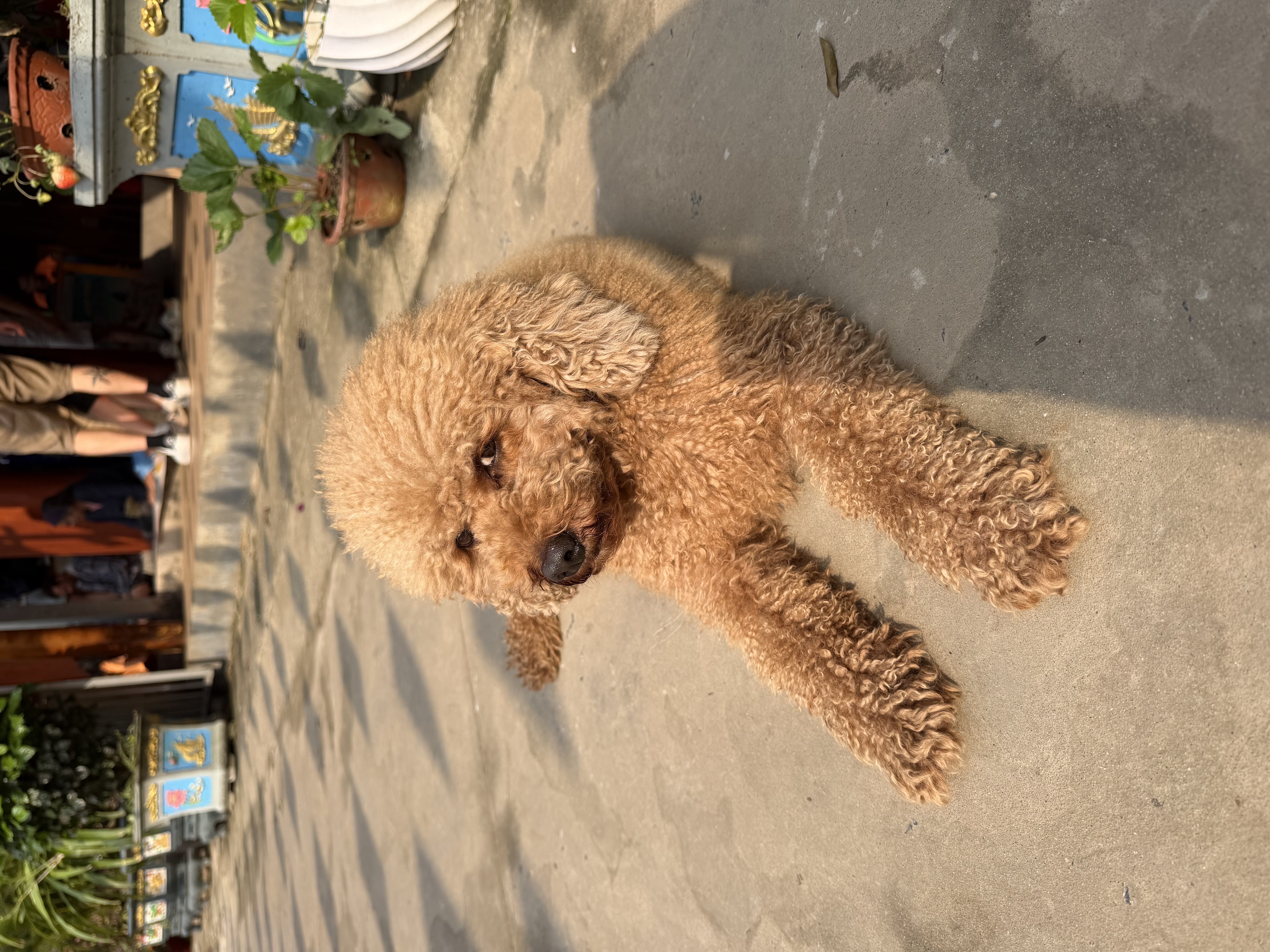 image-4