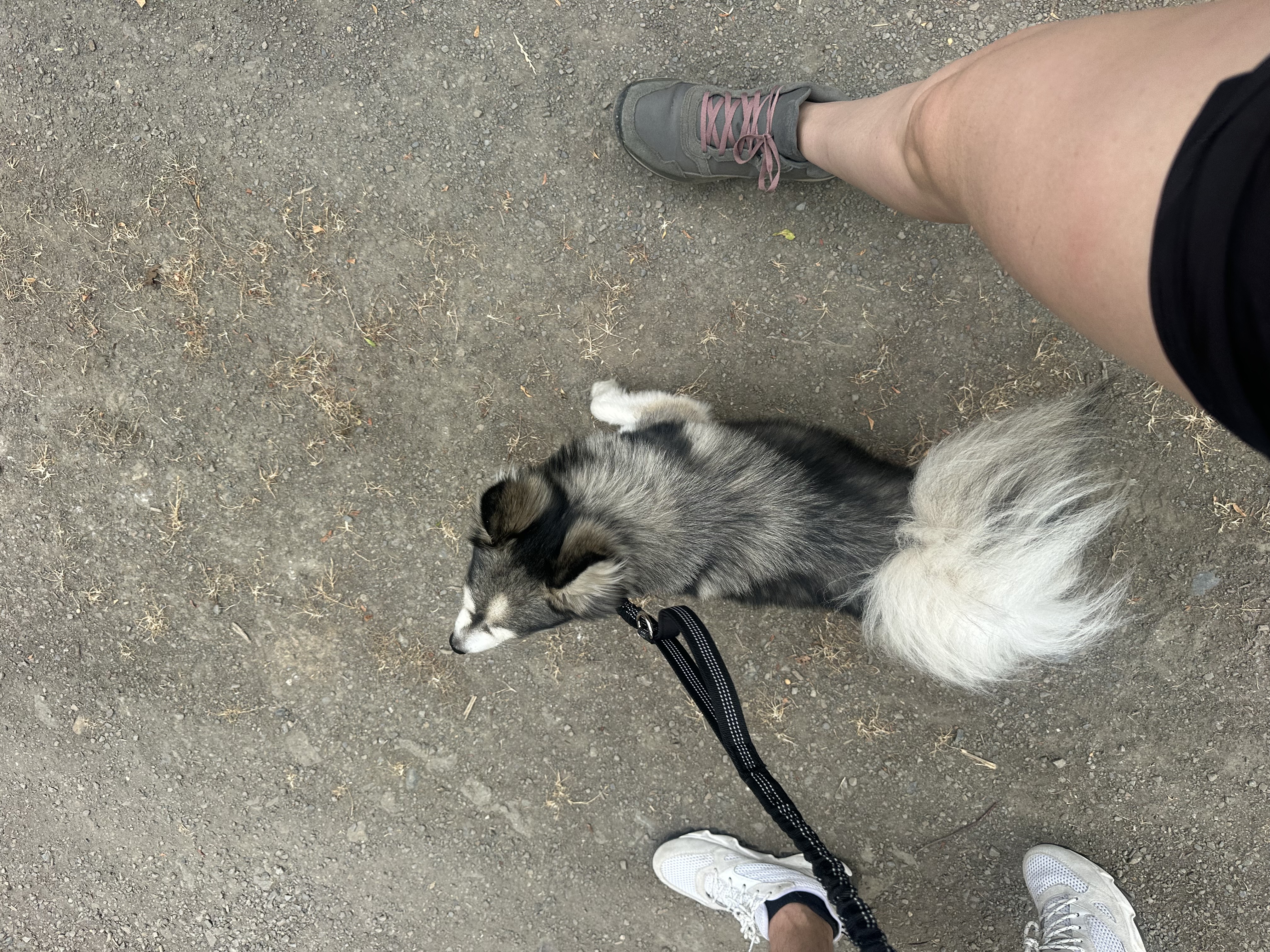 image-13