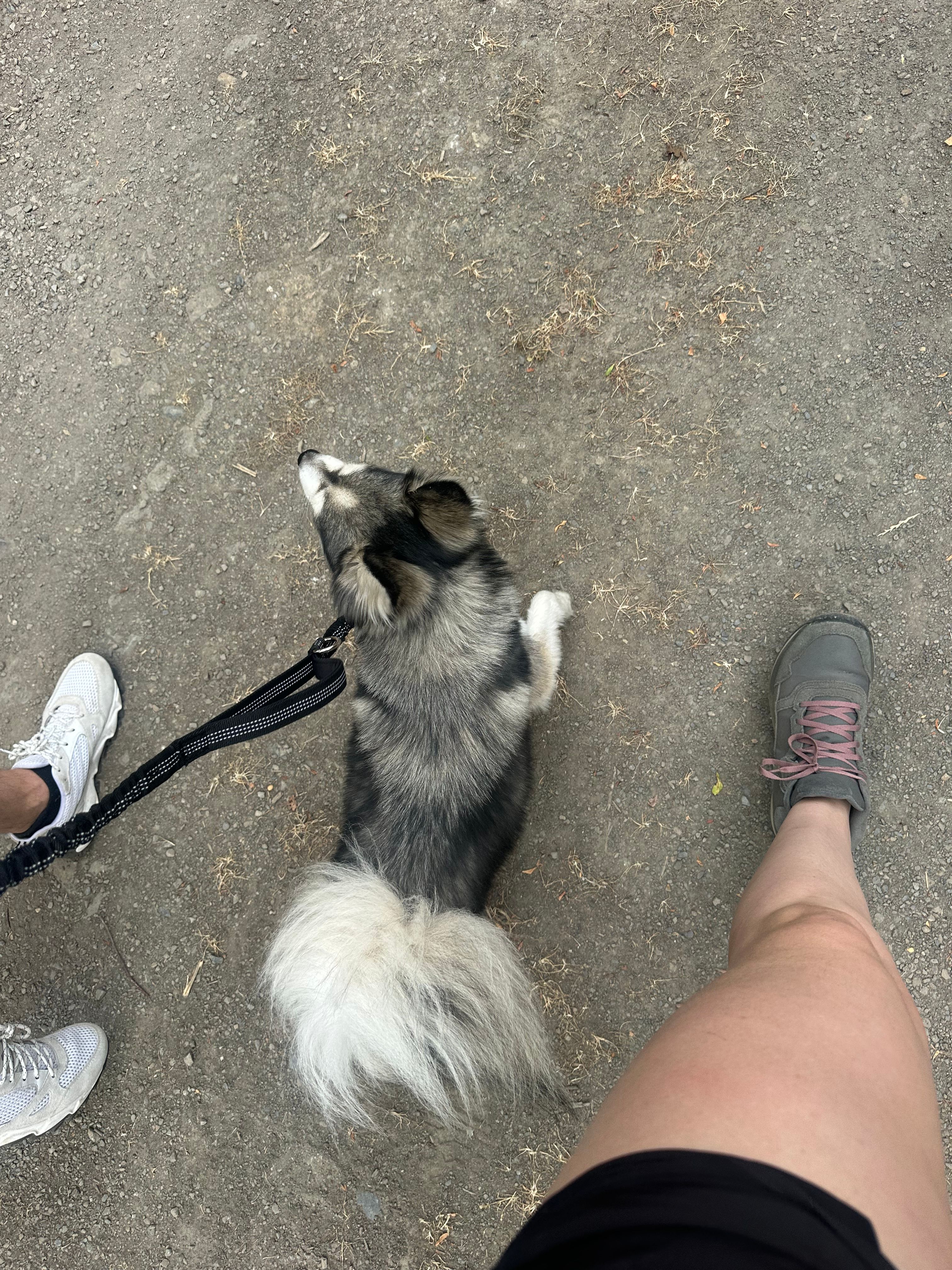 image-13