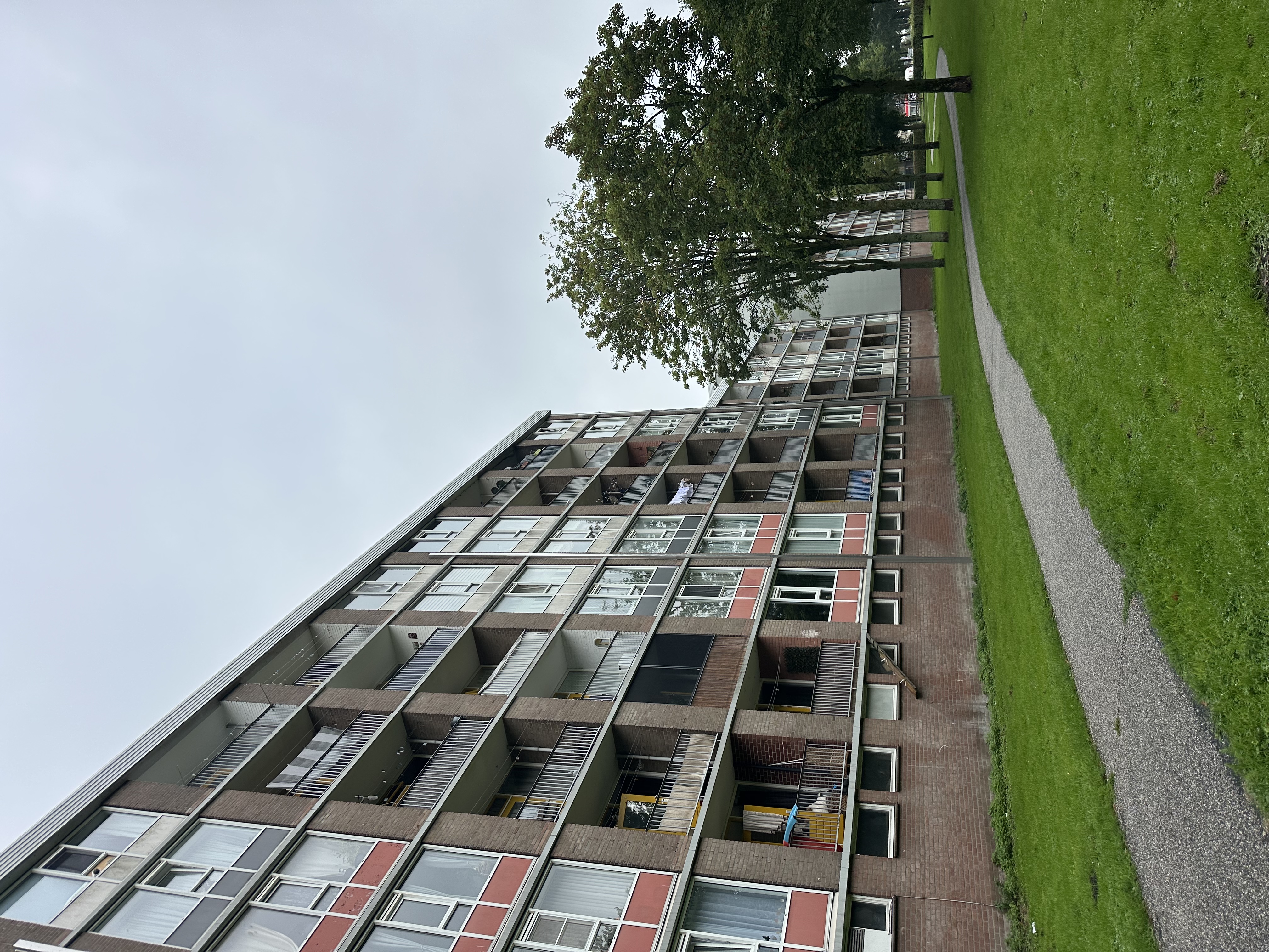 image-17