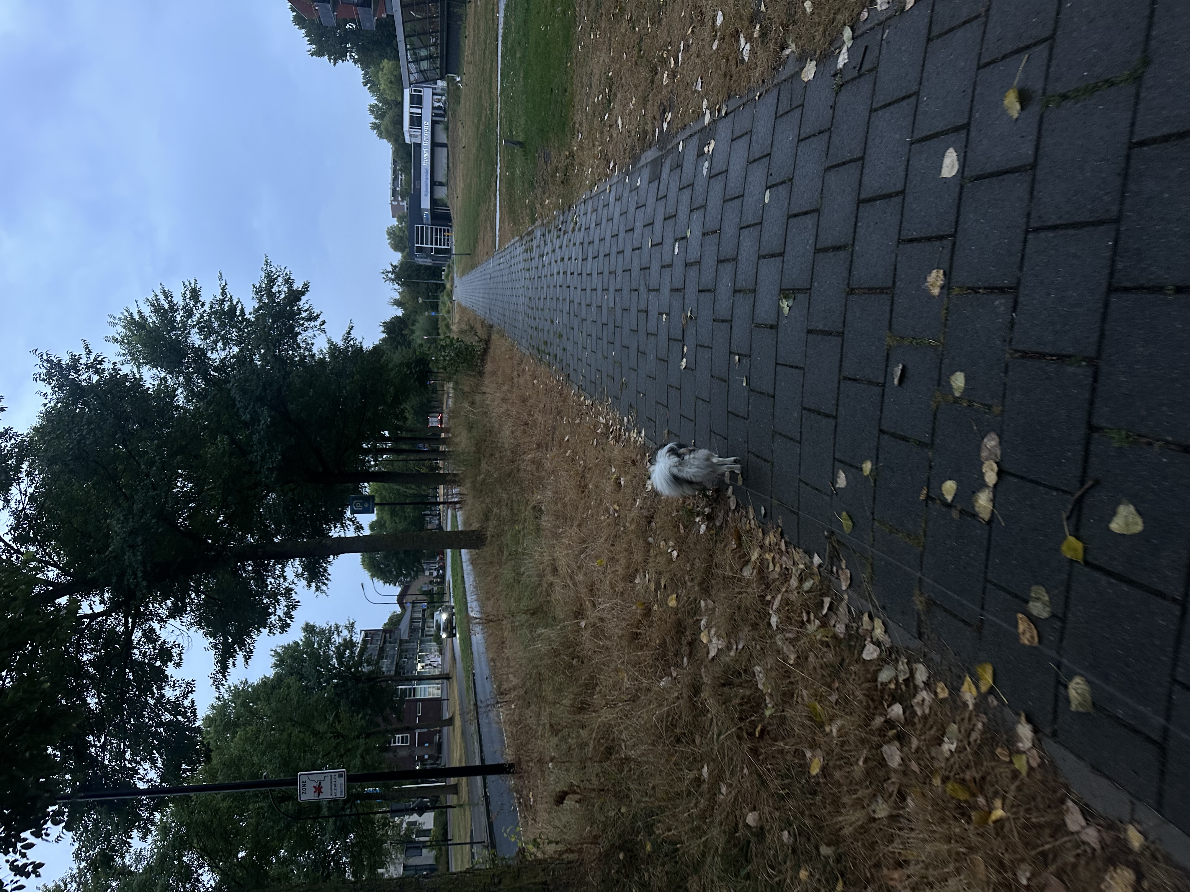 image-24