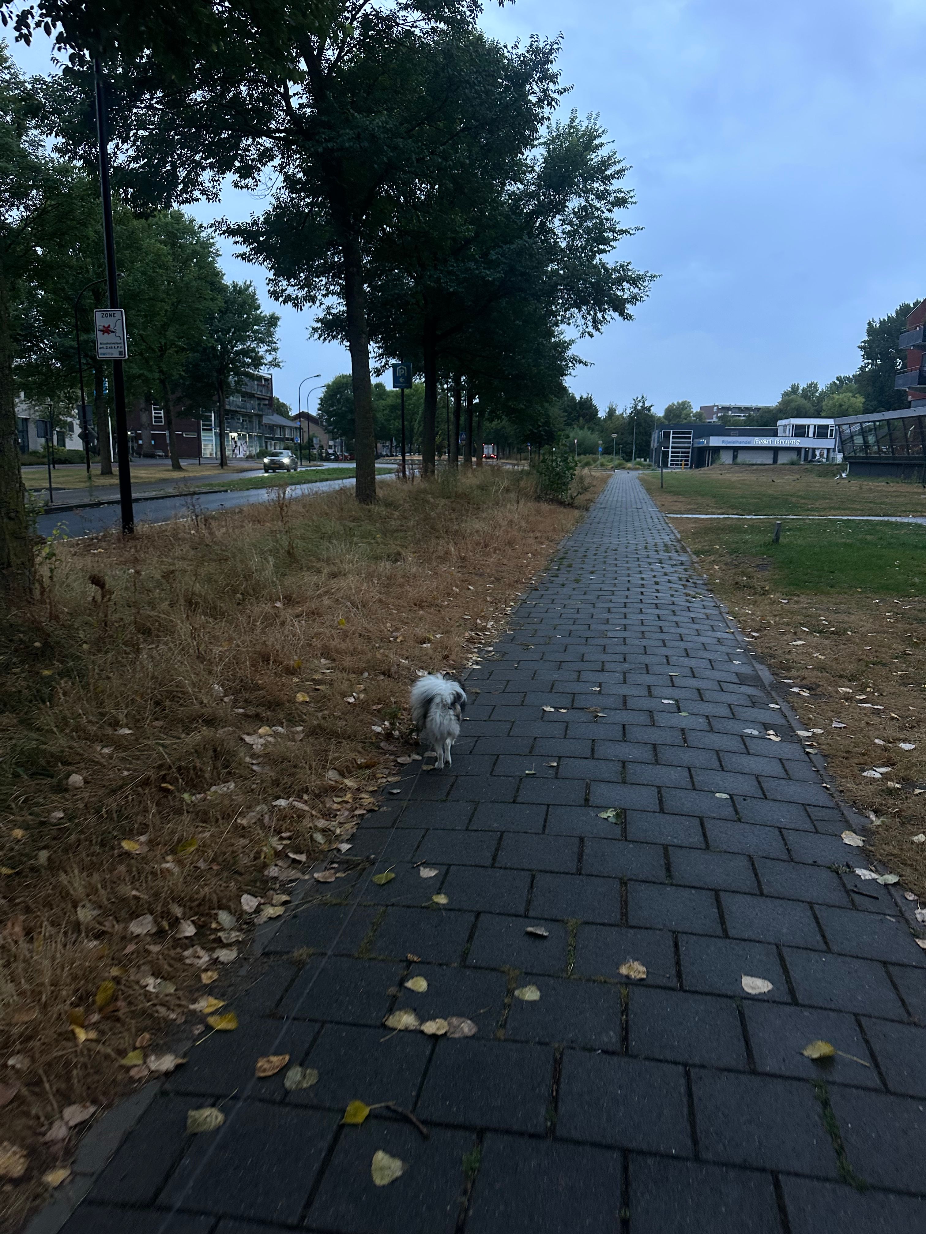 image-24