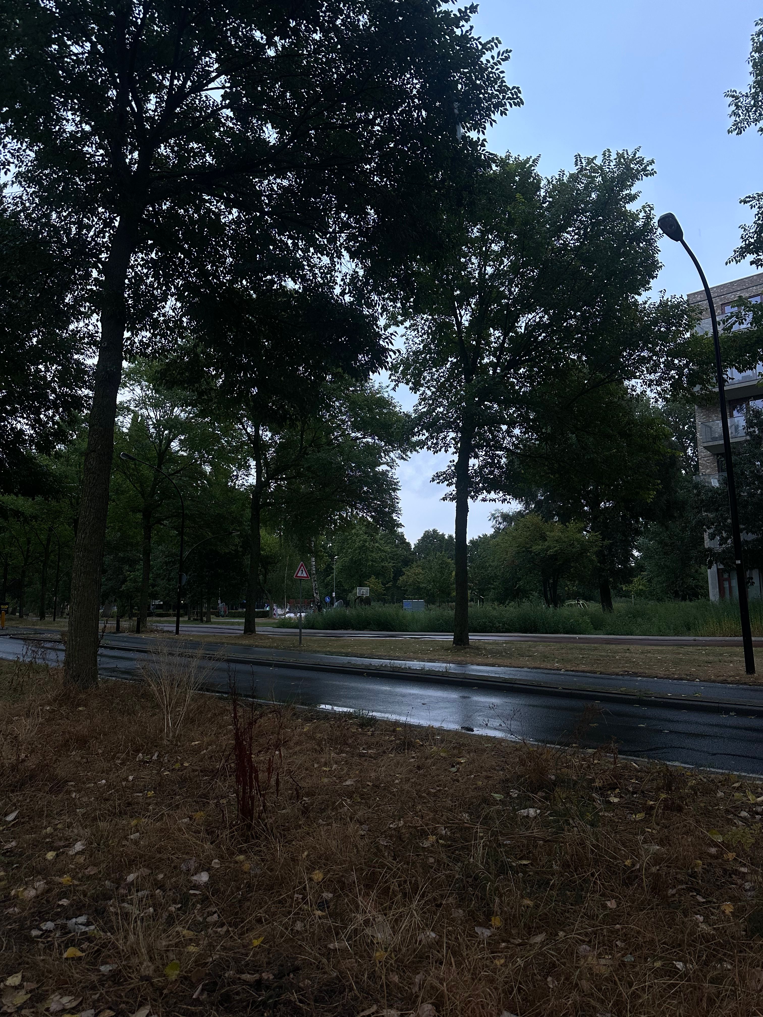 image-25