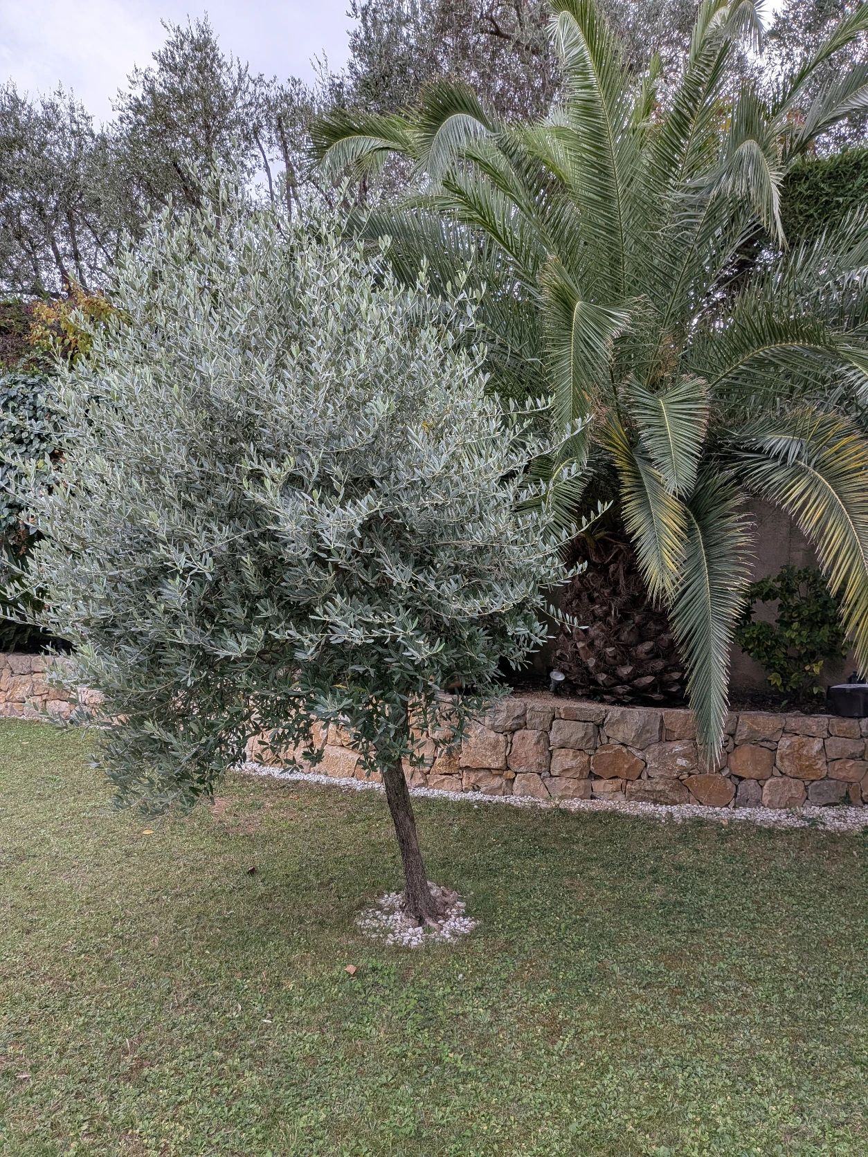 image-17