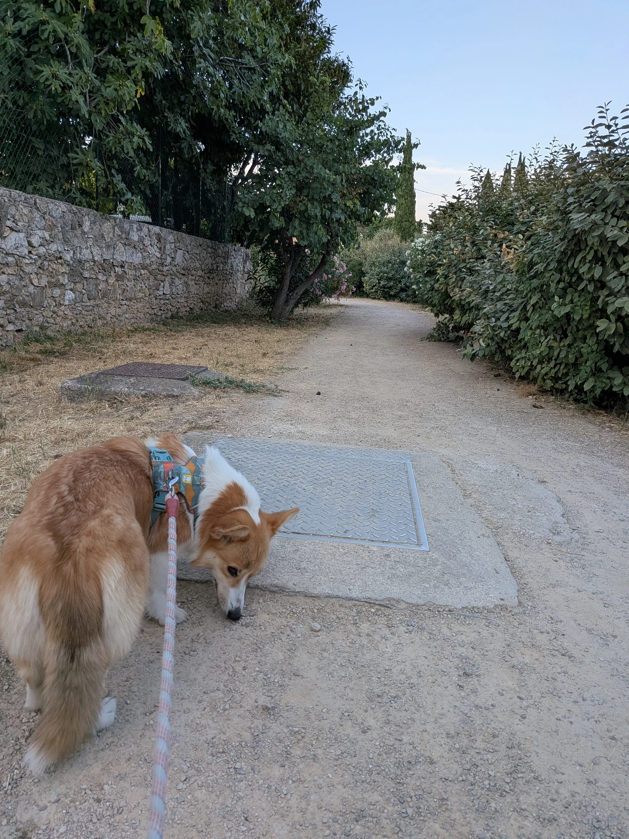image-14