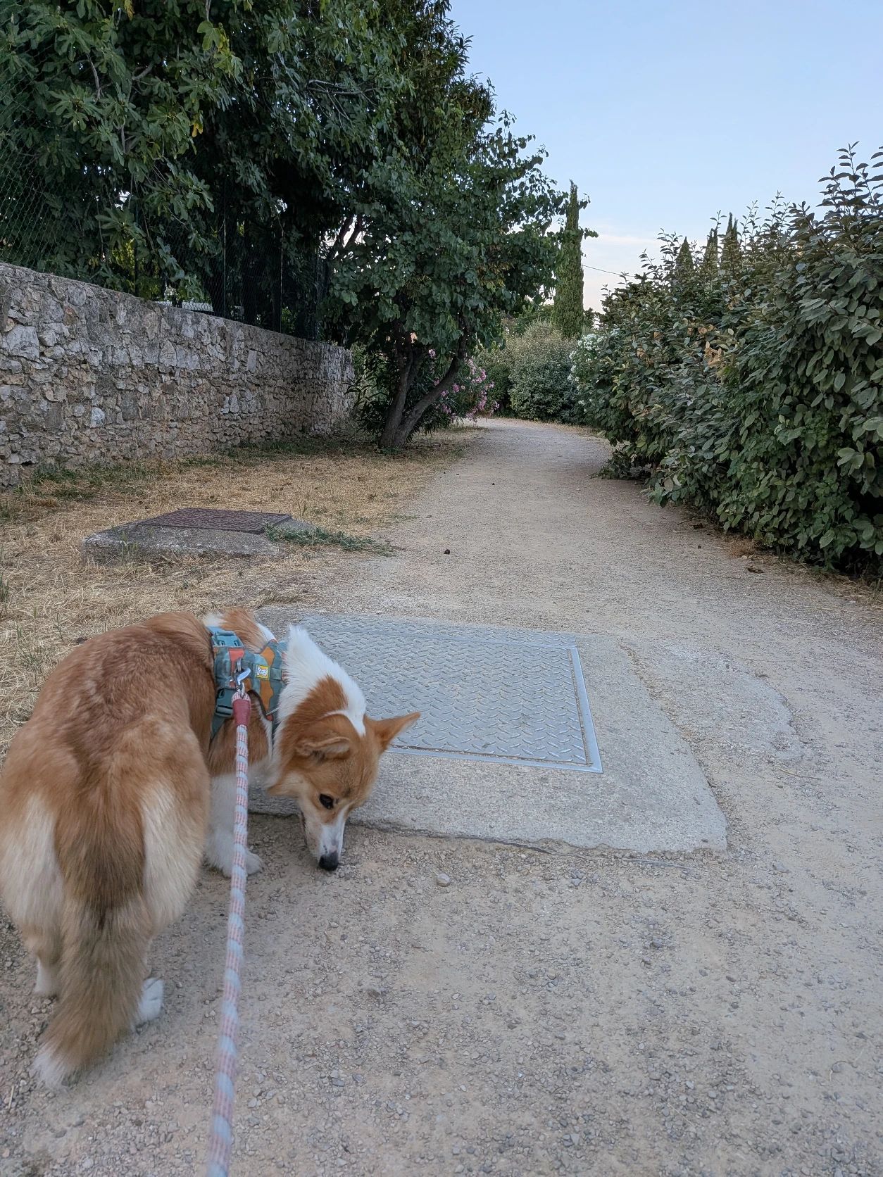 image-14