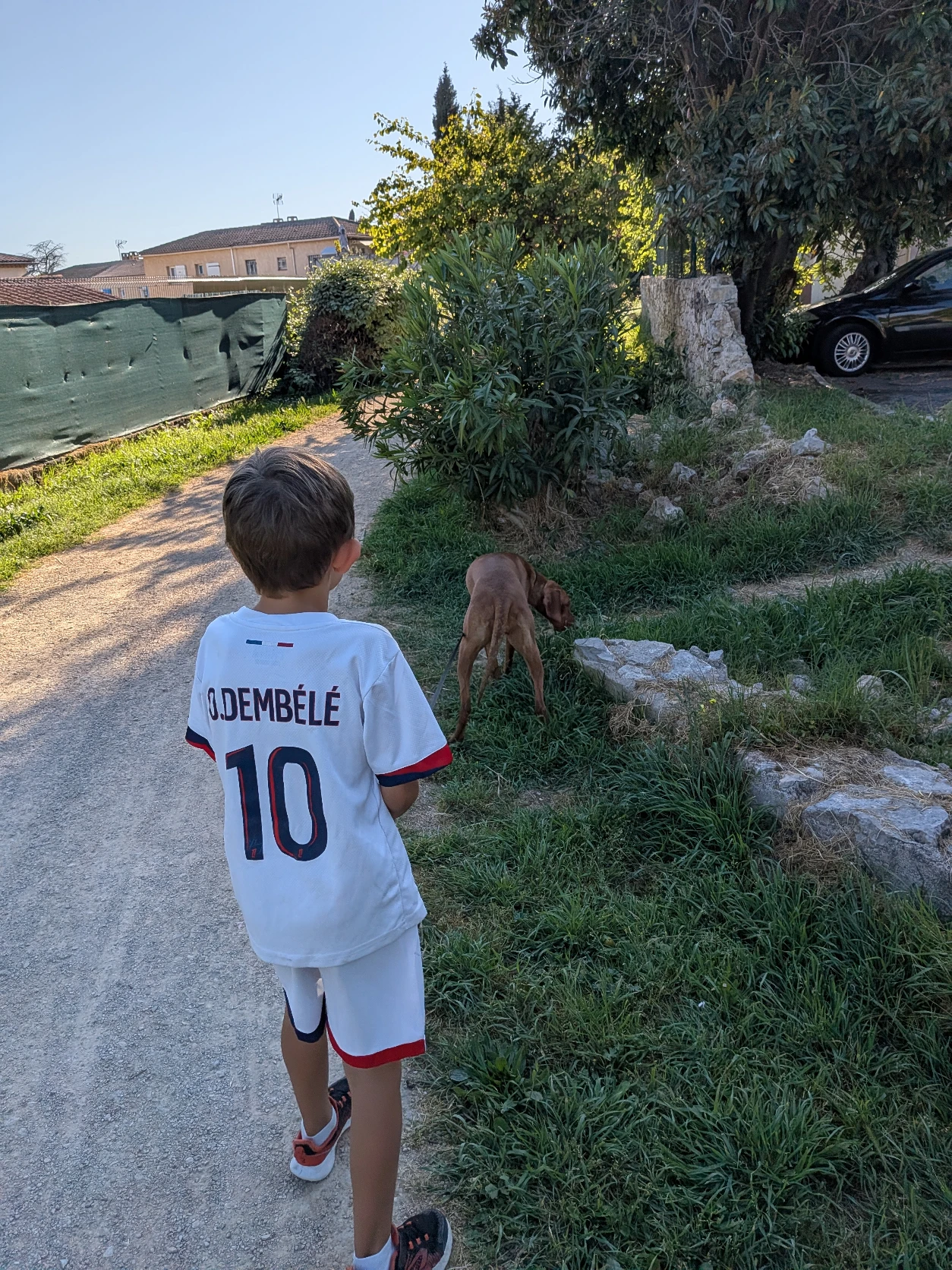 image-7