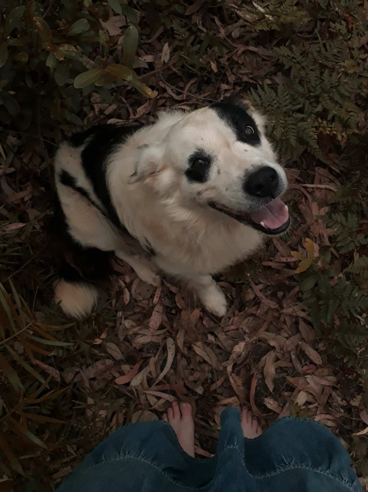 image-6