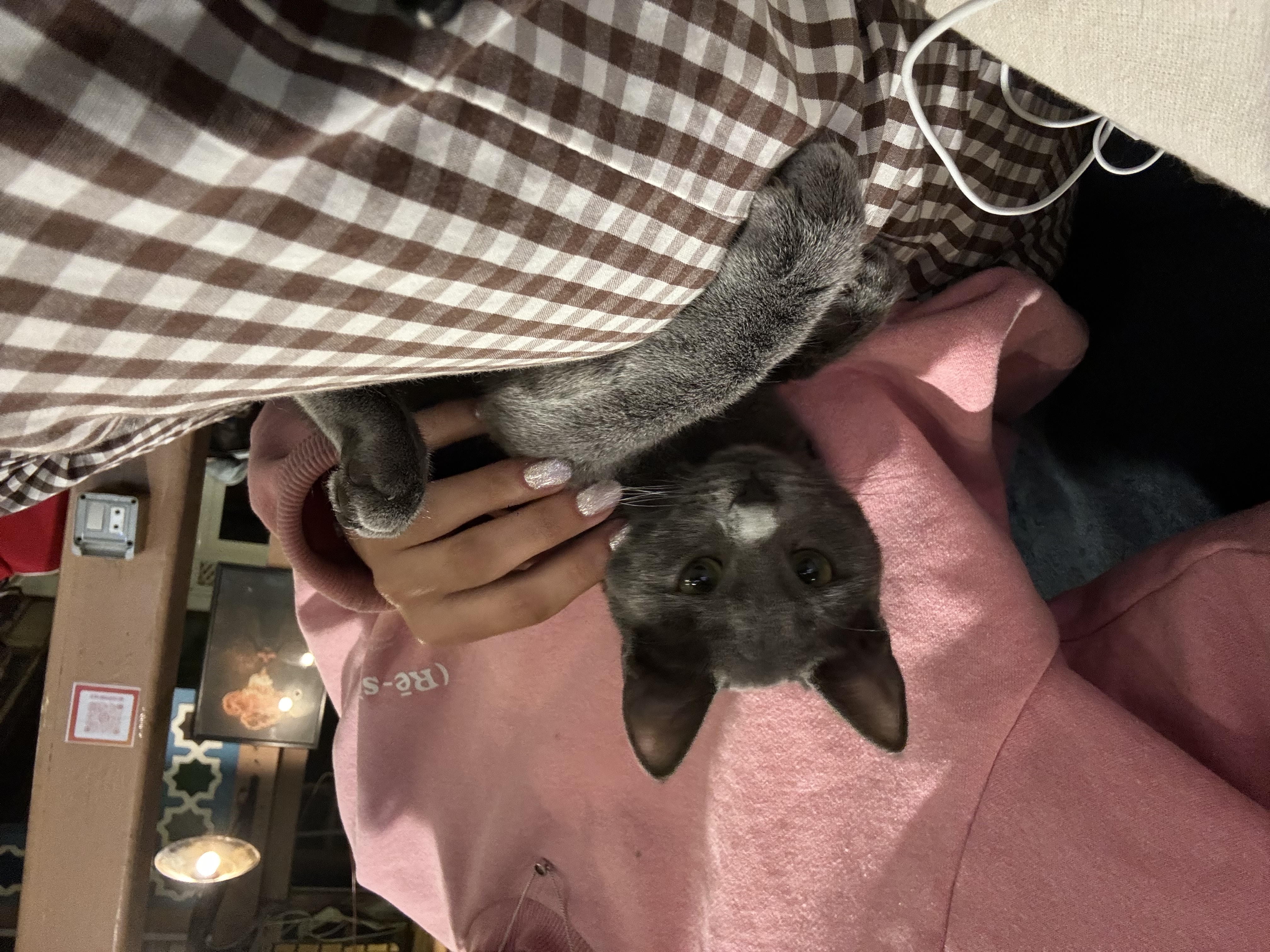 image-14