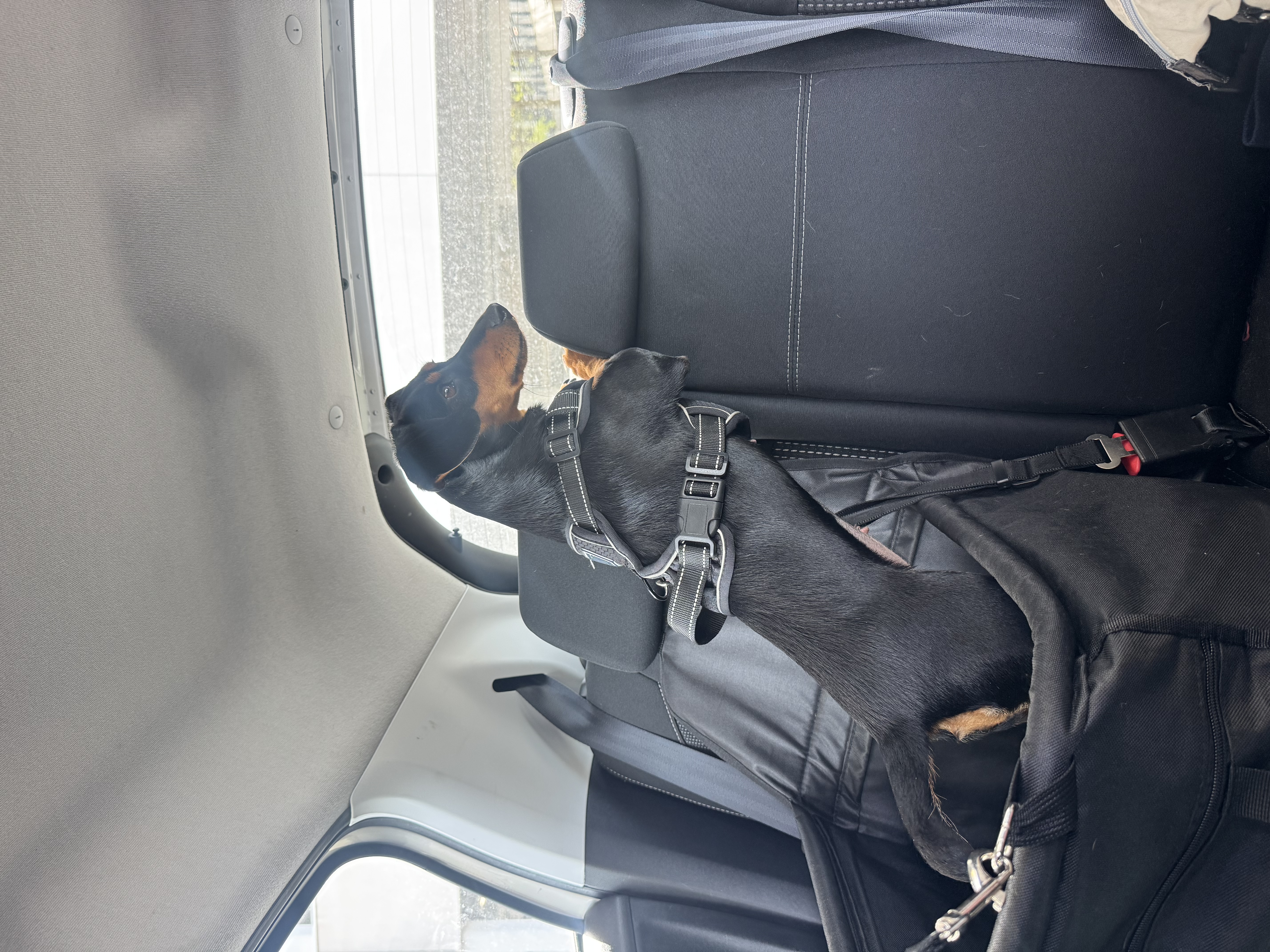 image-11