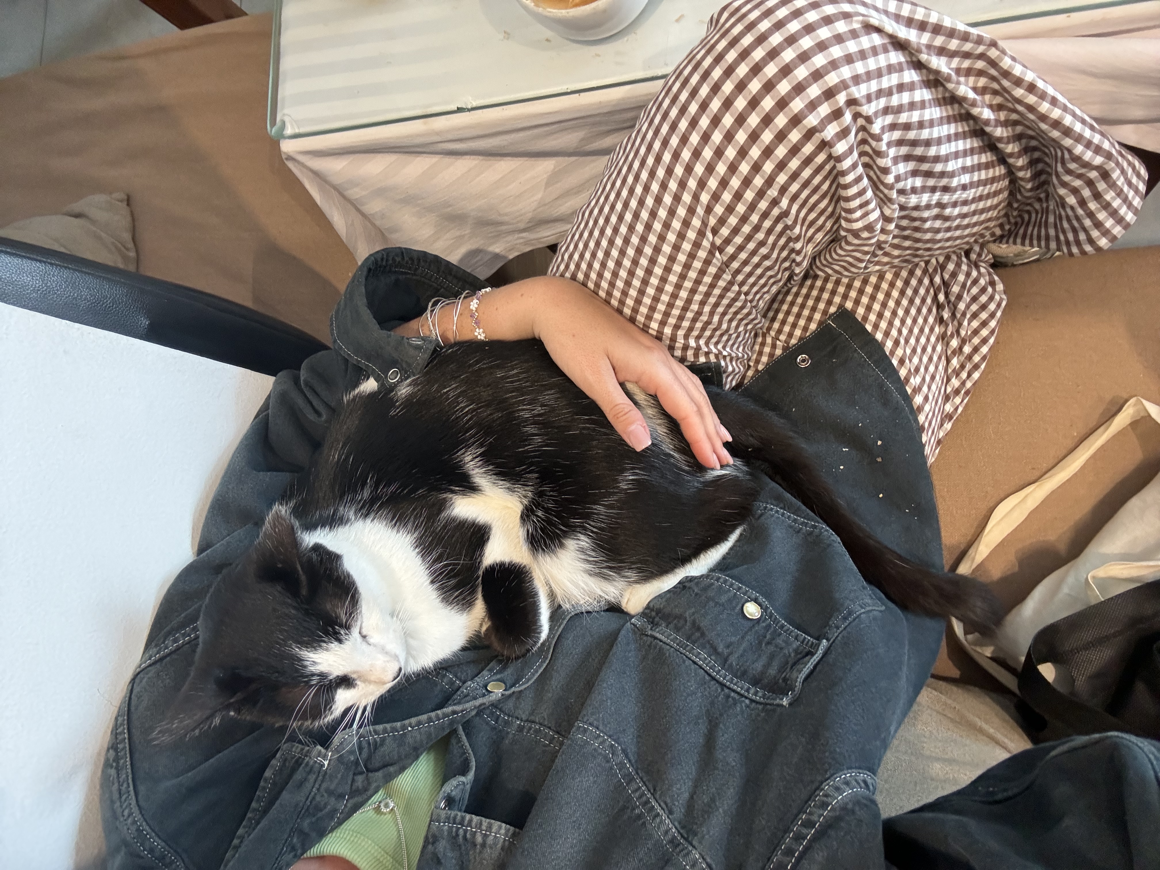 image-12