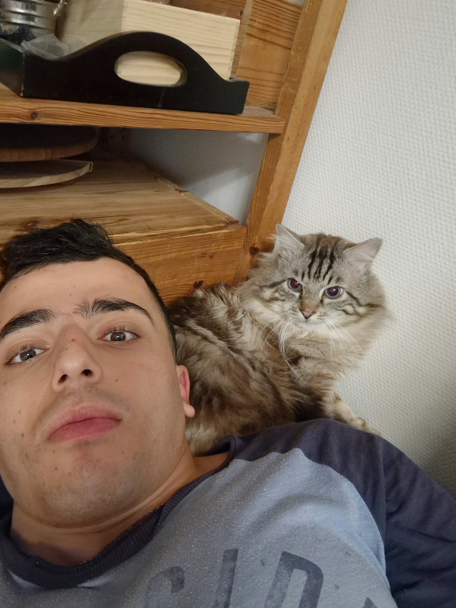 image-4
