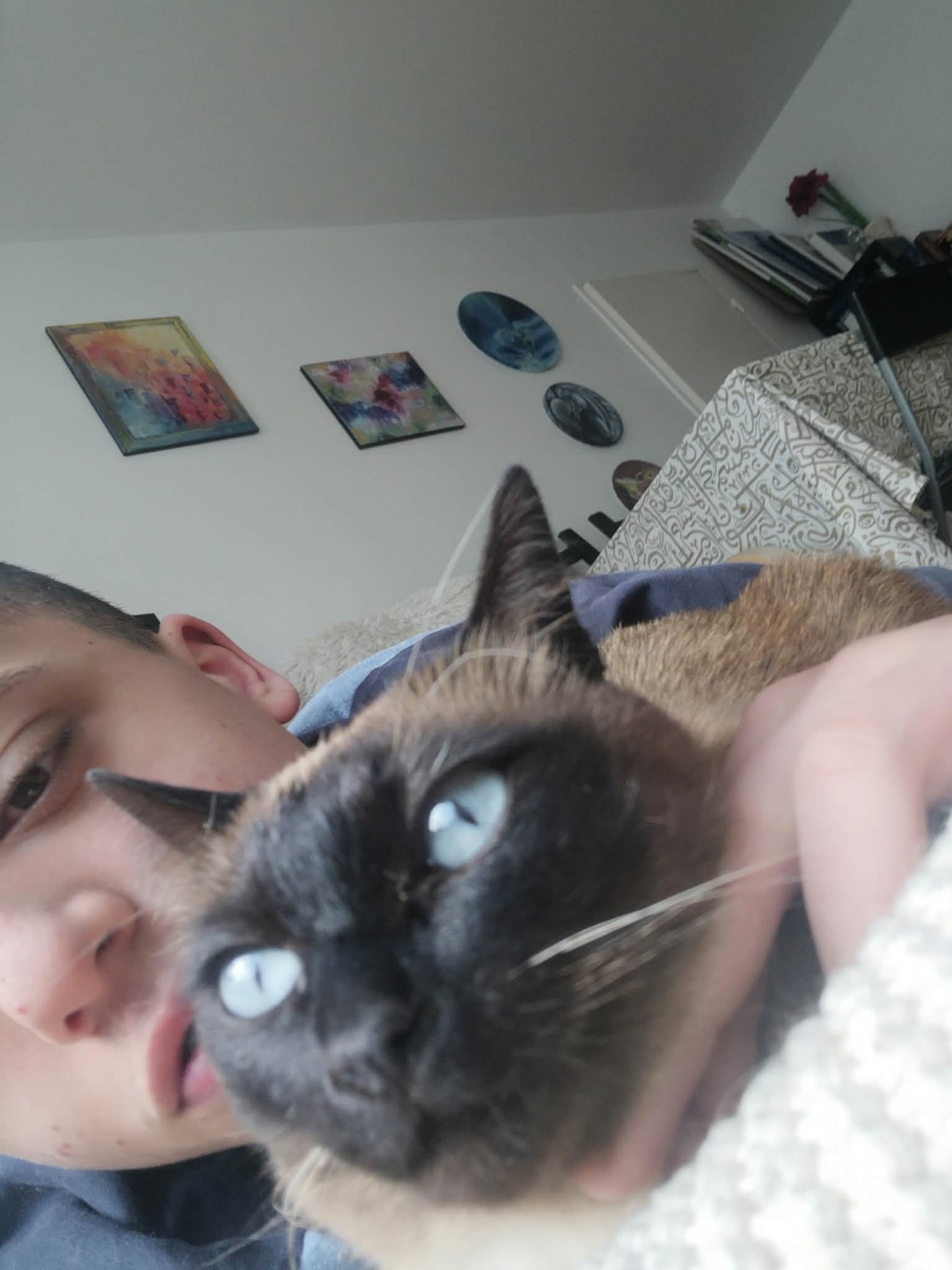 image-6
