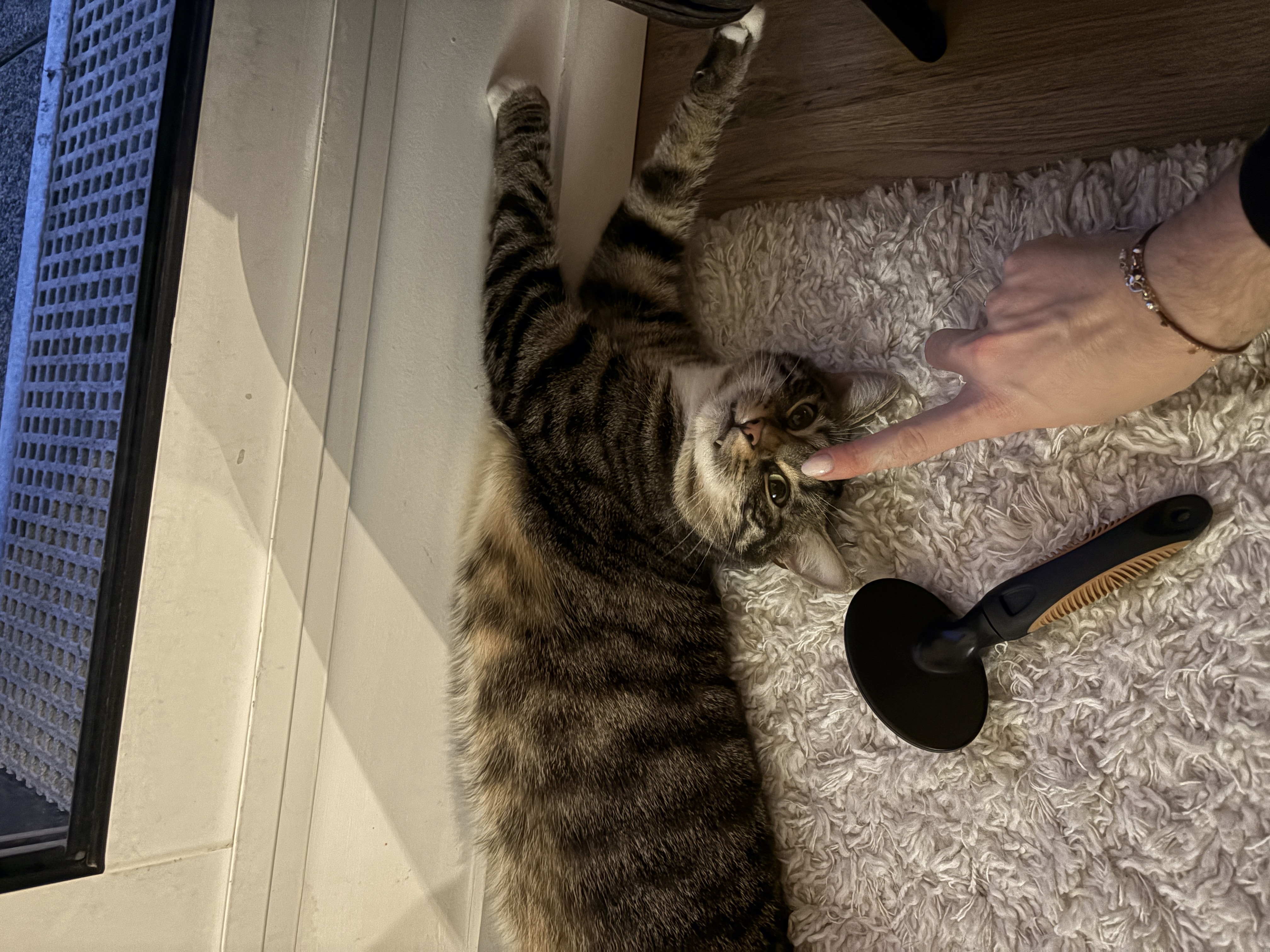 image-6