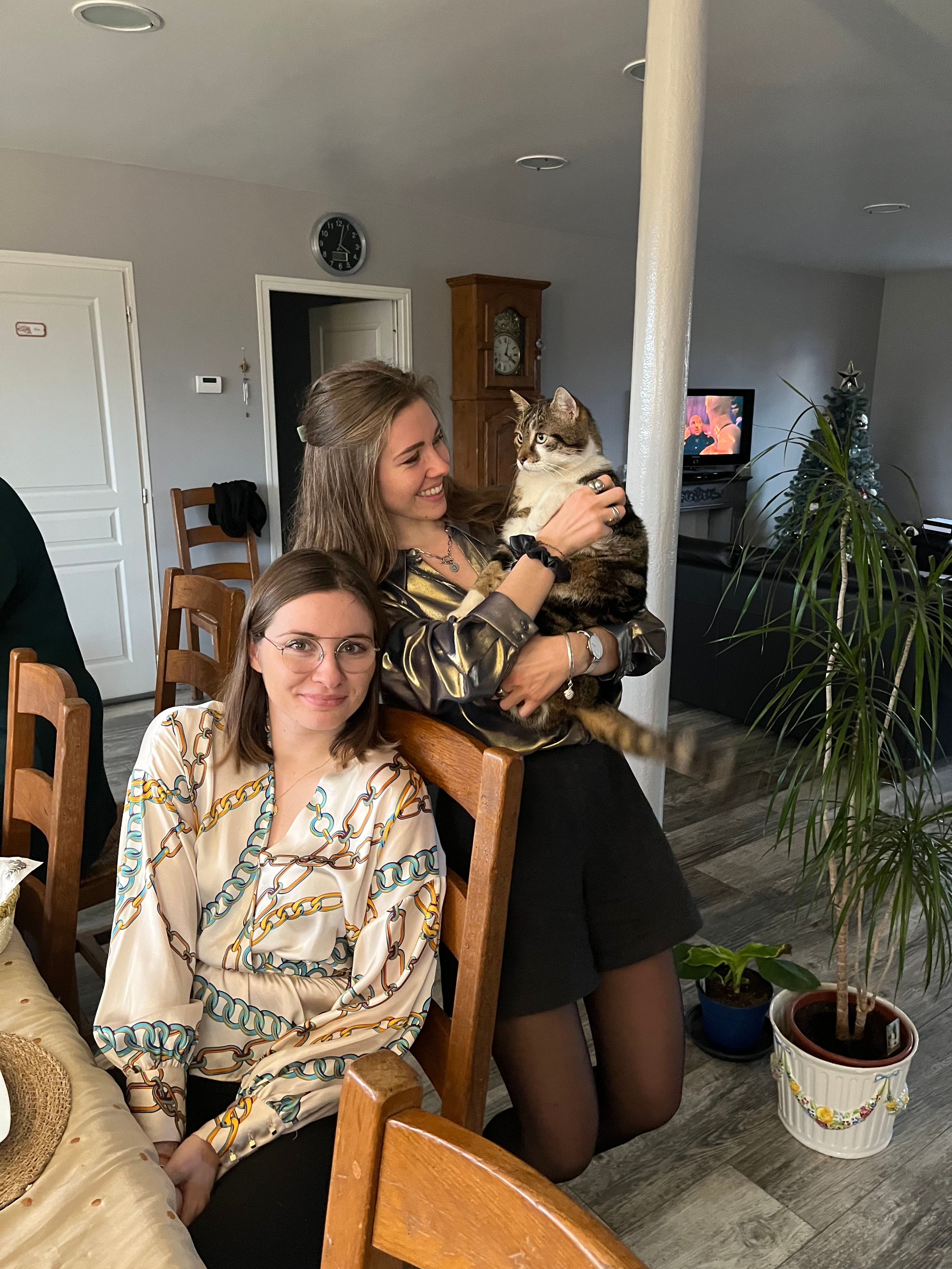 image-7