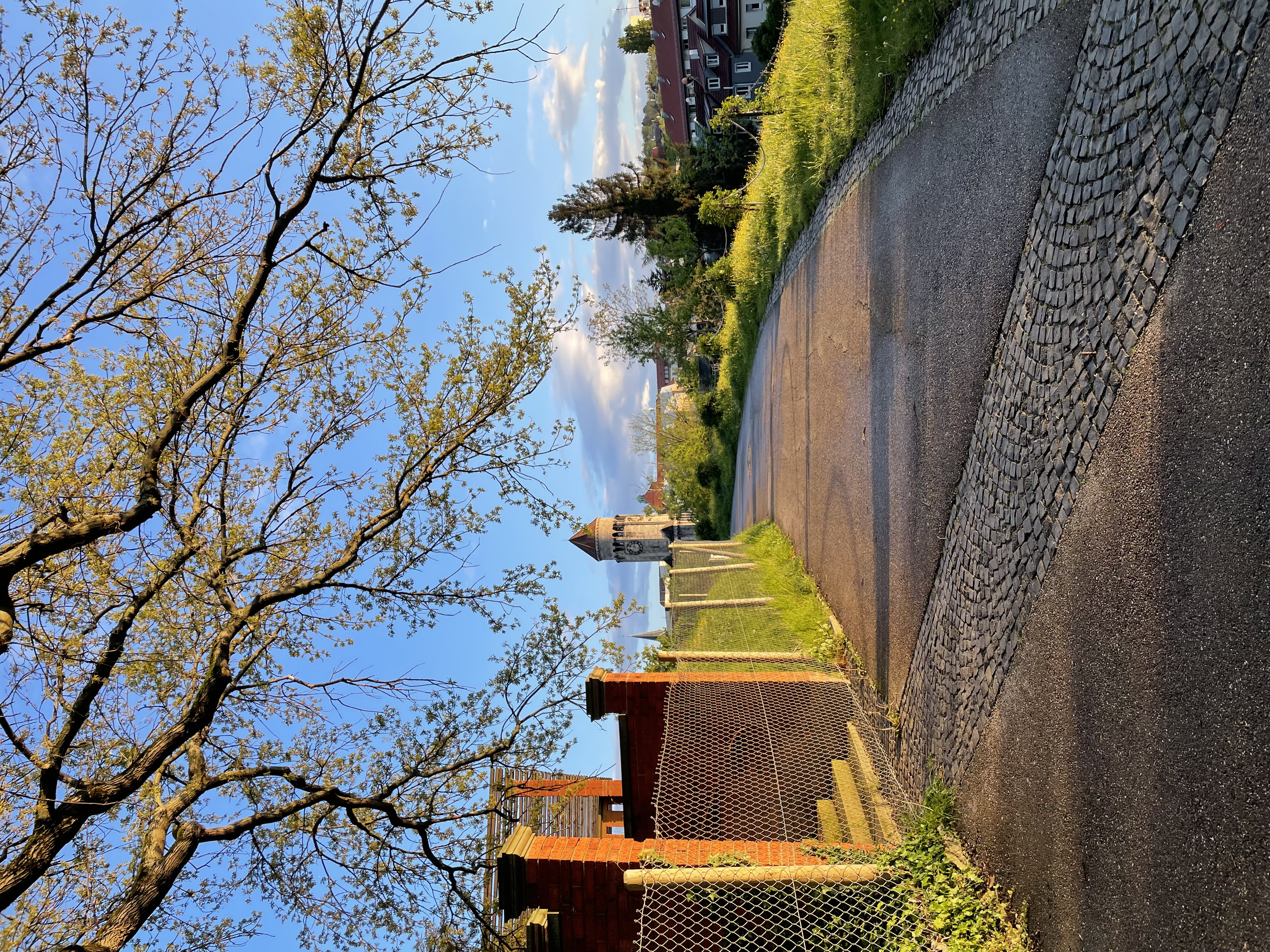 image-14