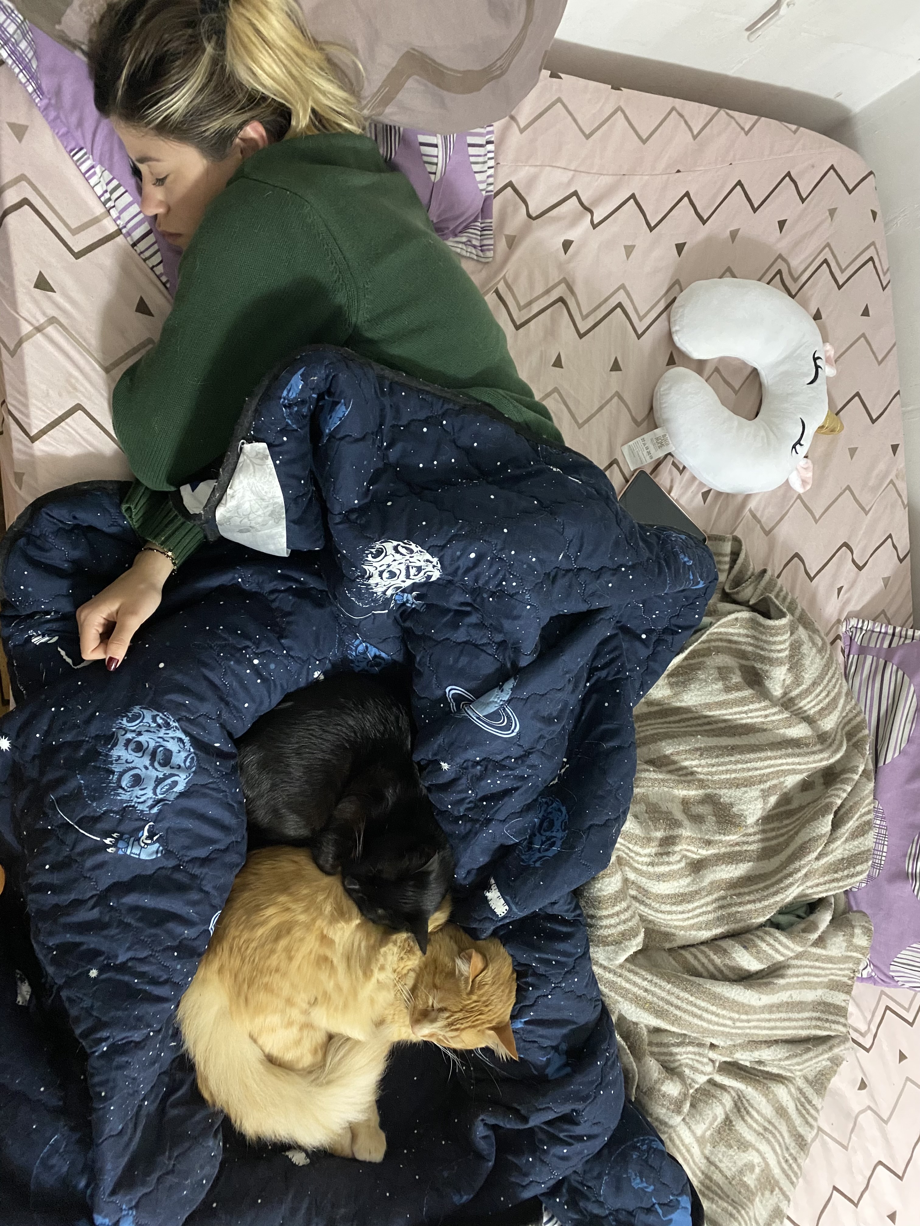 image-17