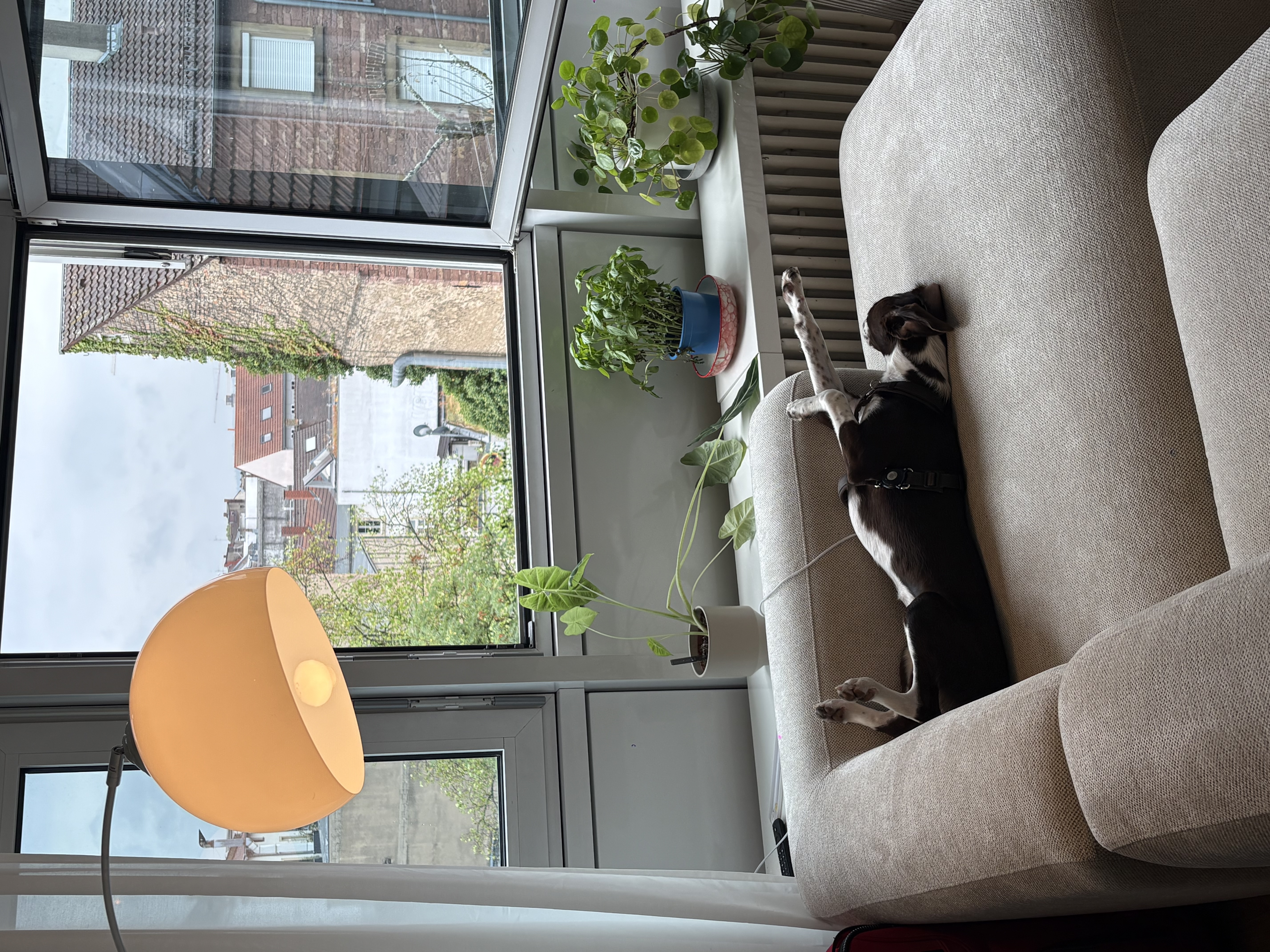image-9