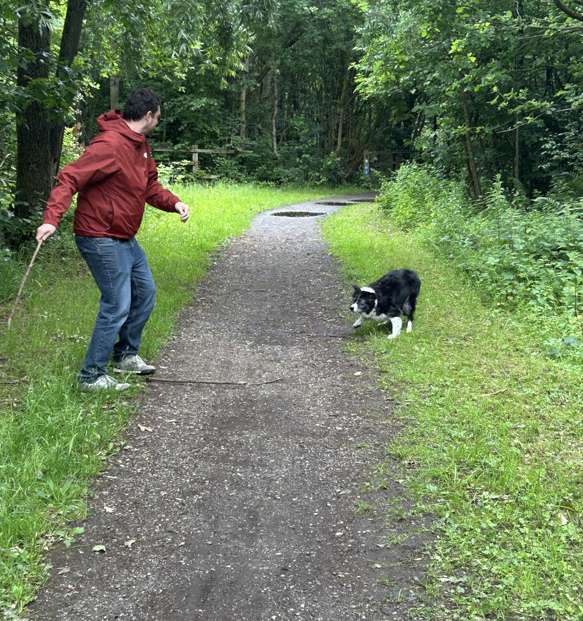 image-20