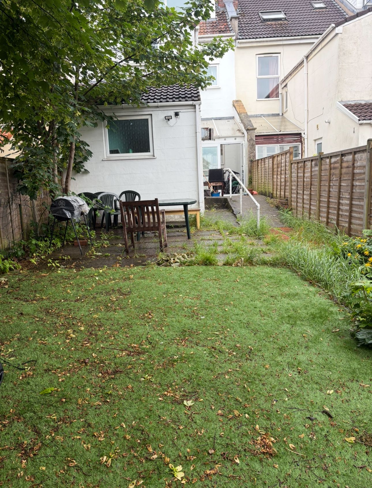 image-19