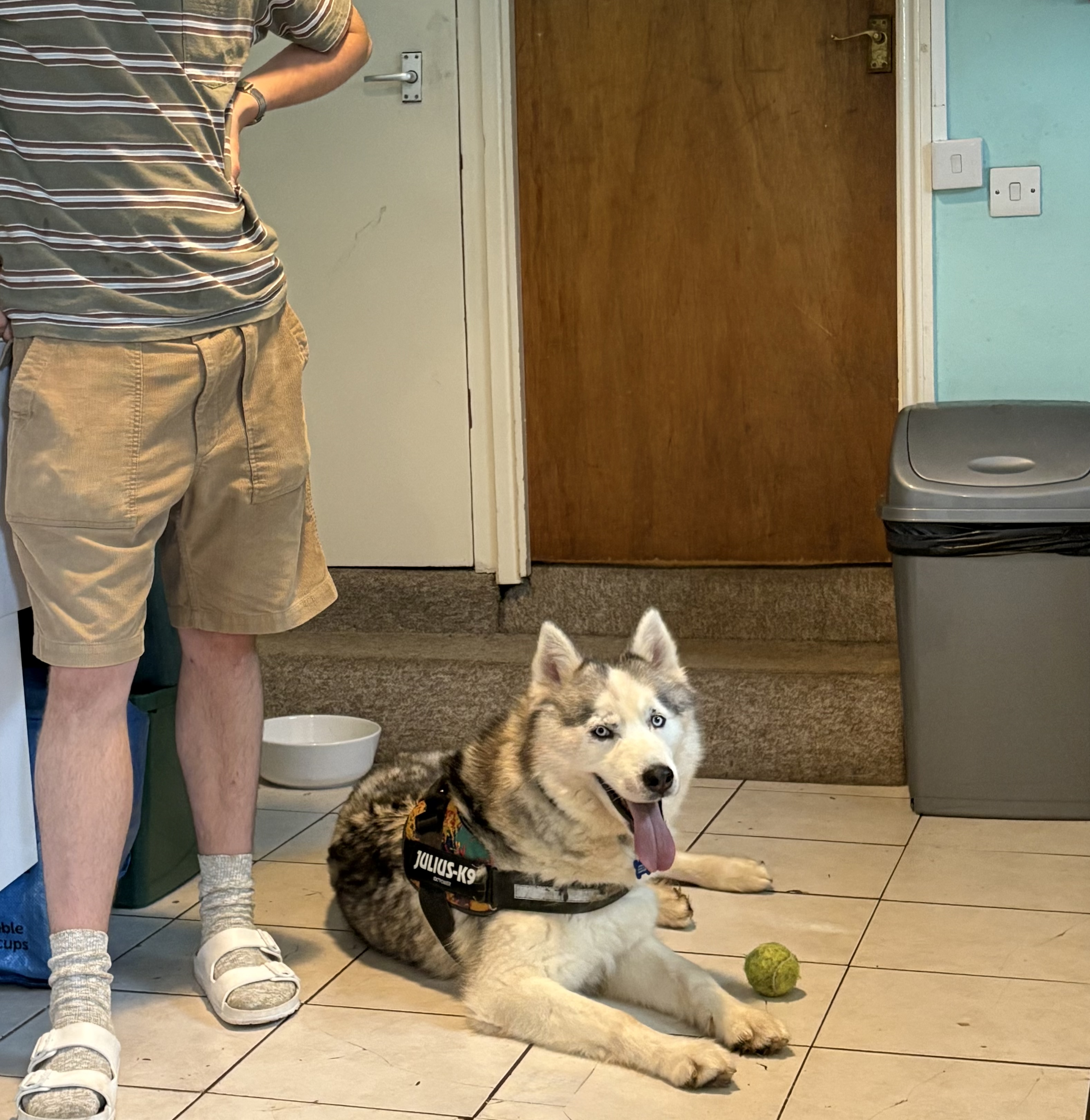 image-18