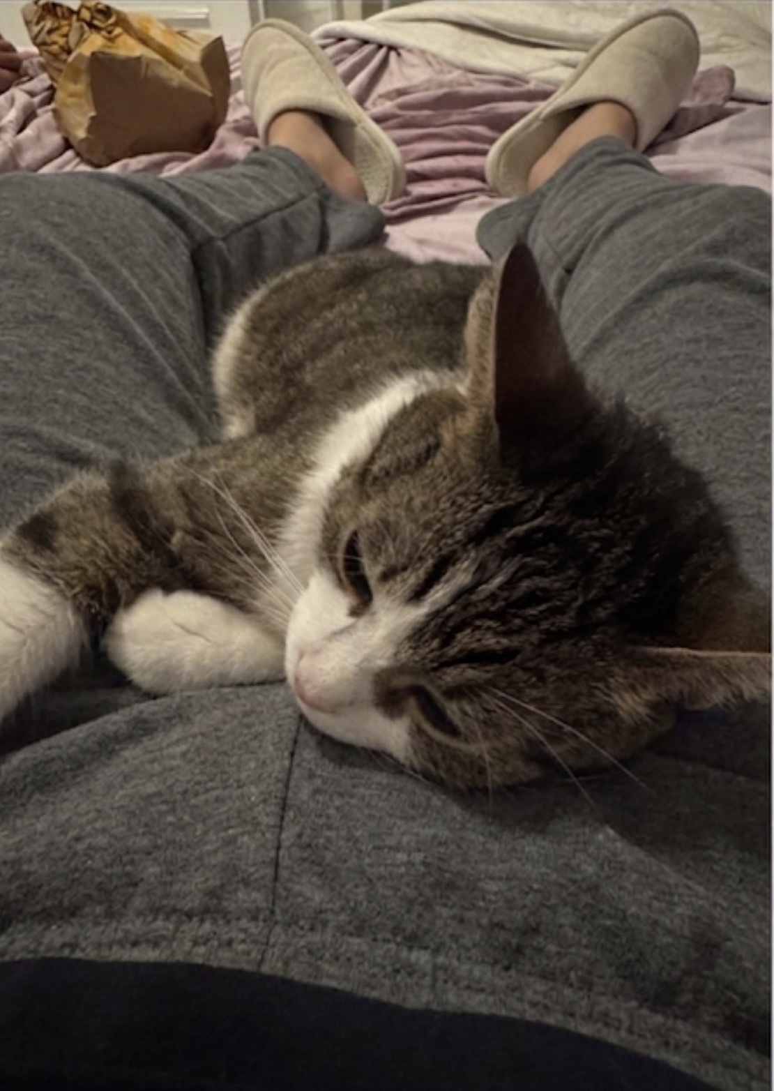 image-8