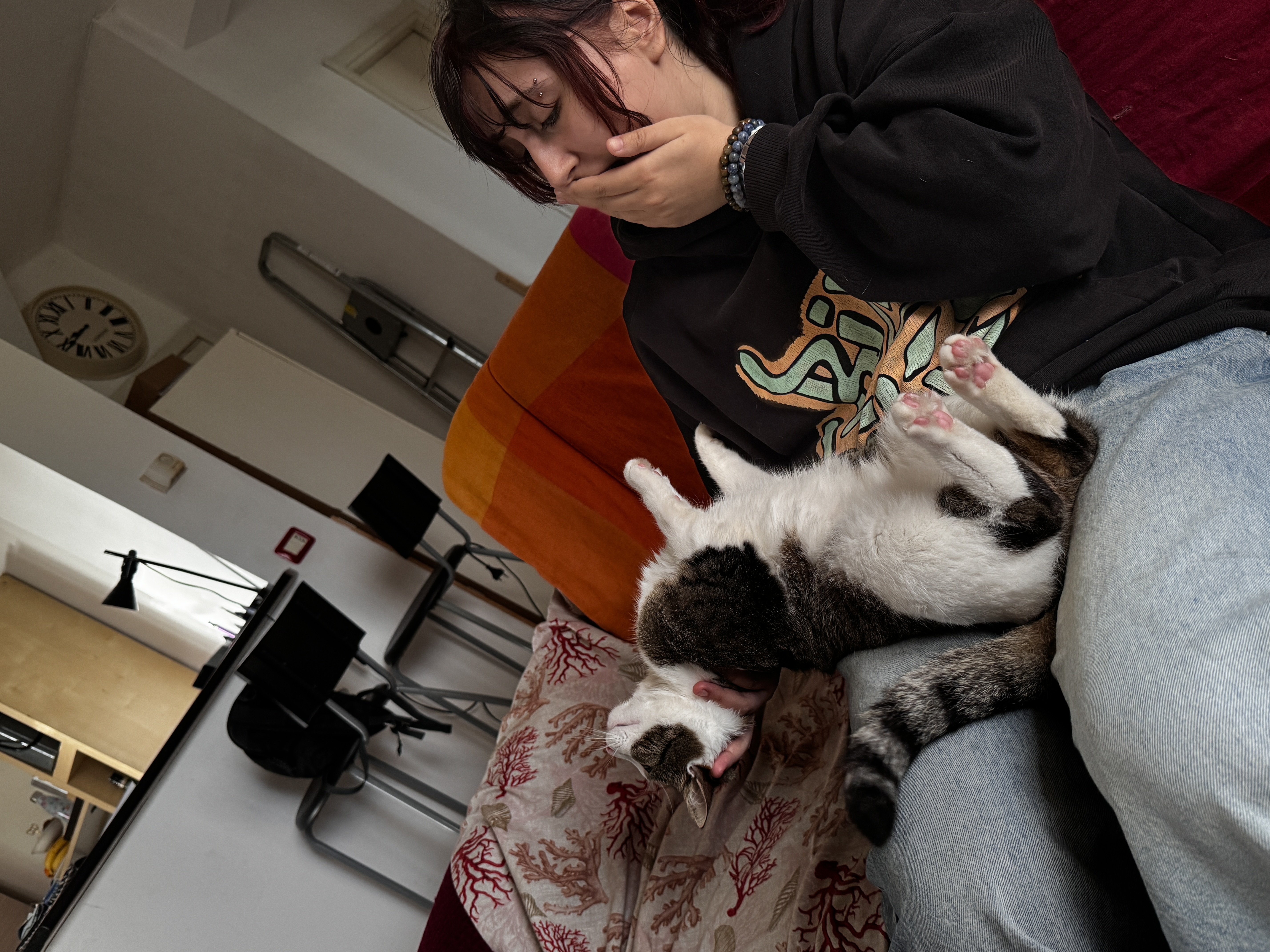 image-5