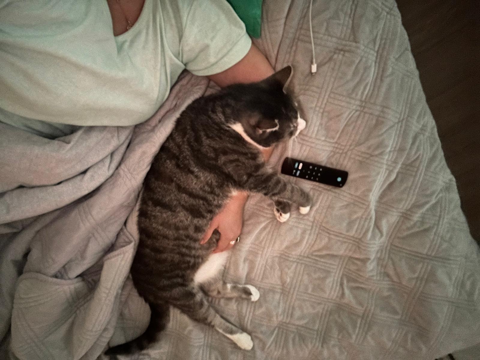 image-8
