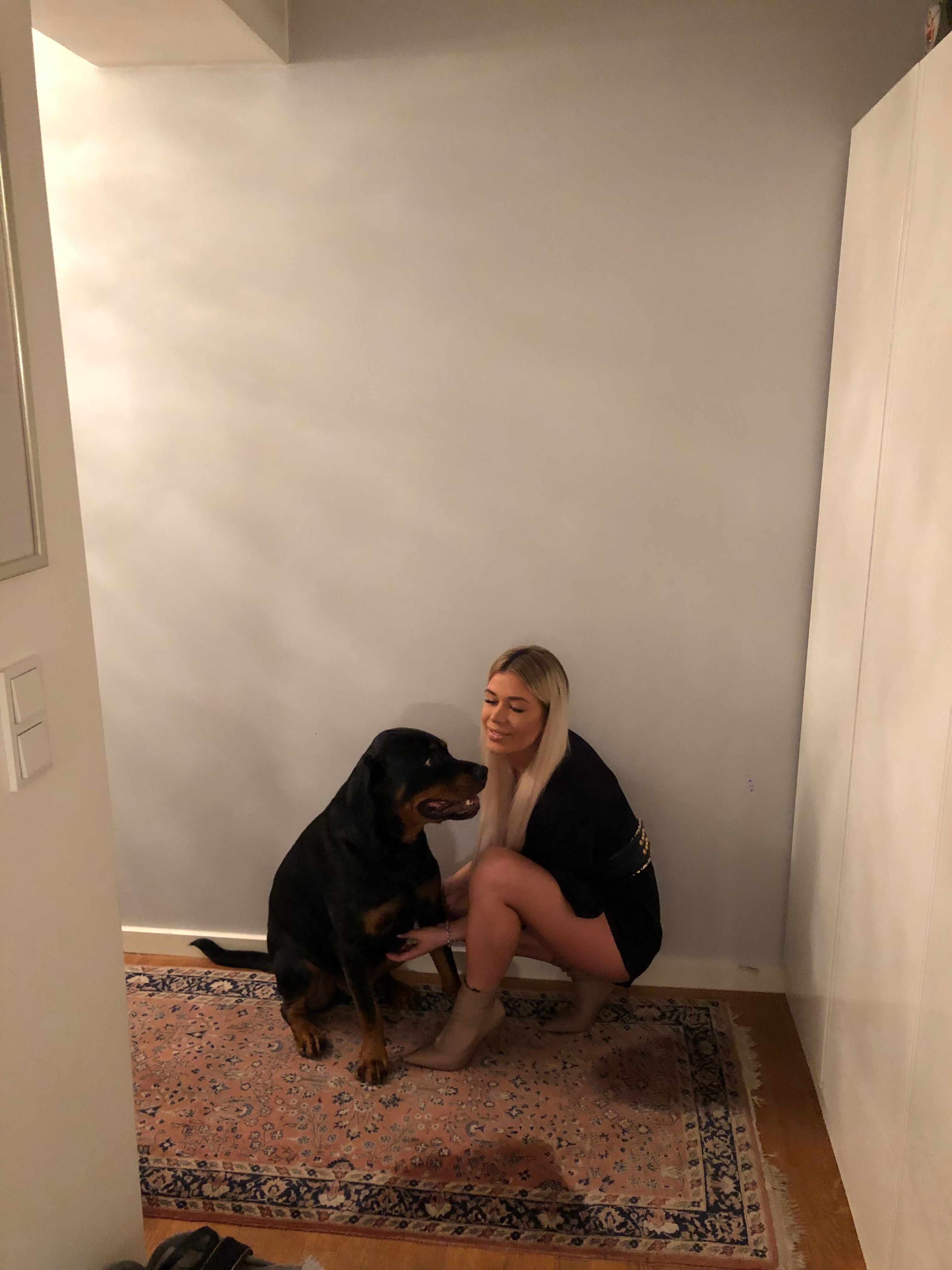 image-6