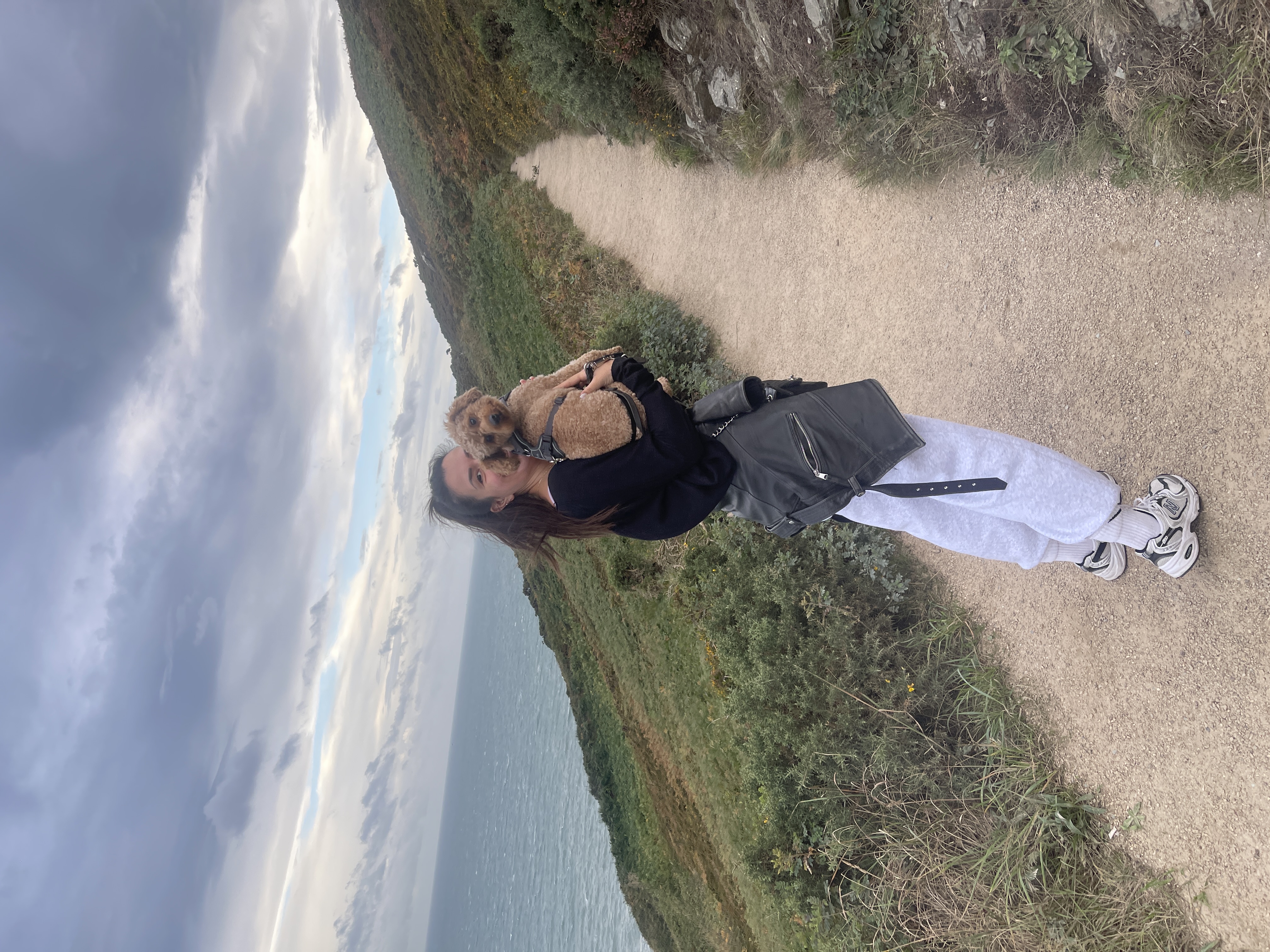 image-2