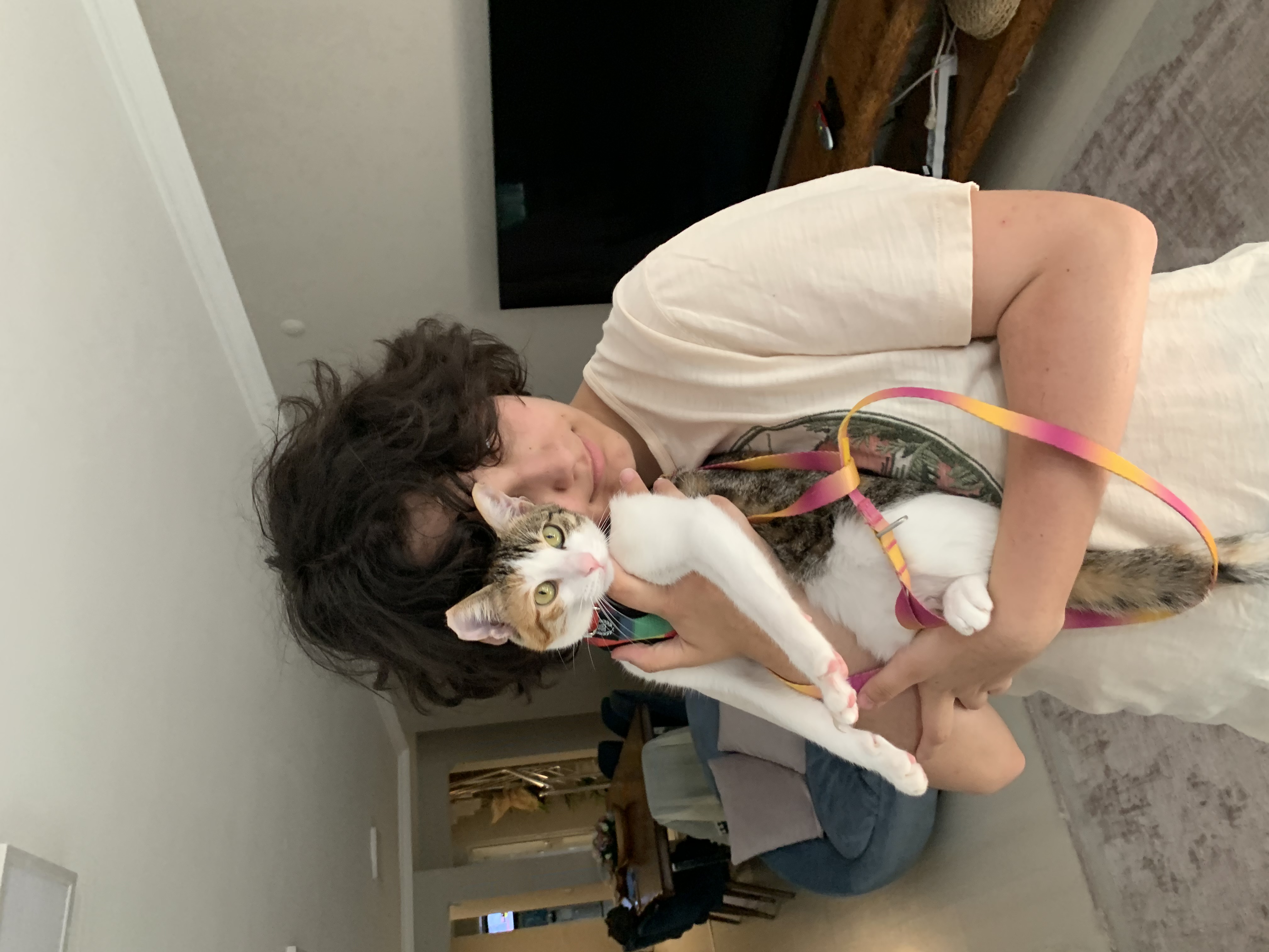 image-2