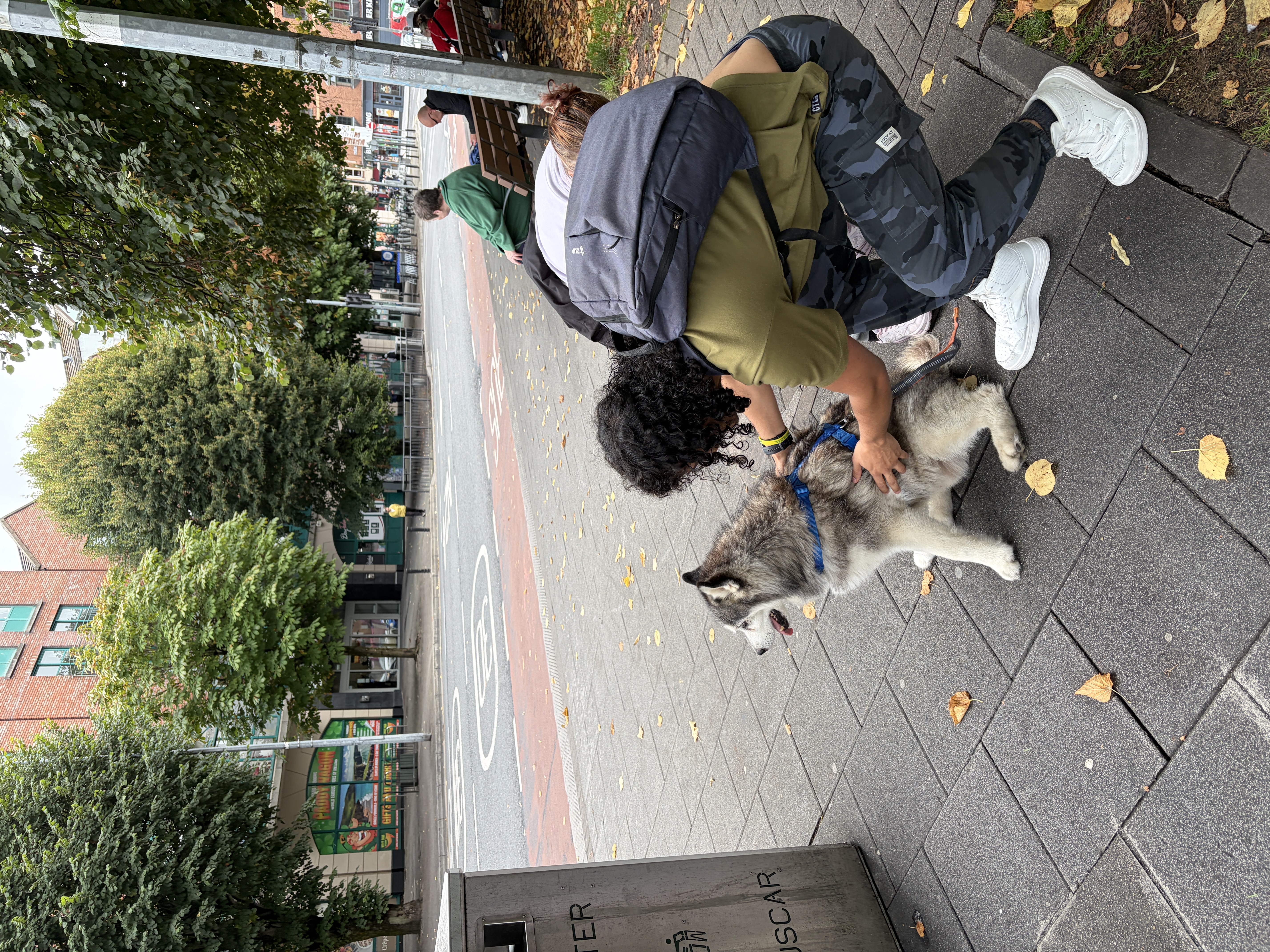 image-8