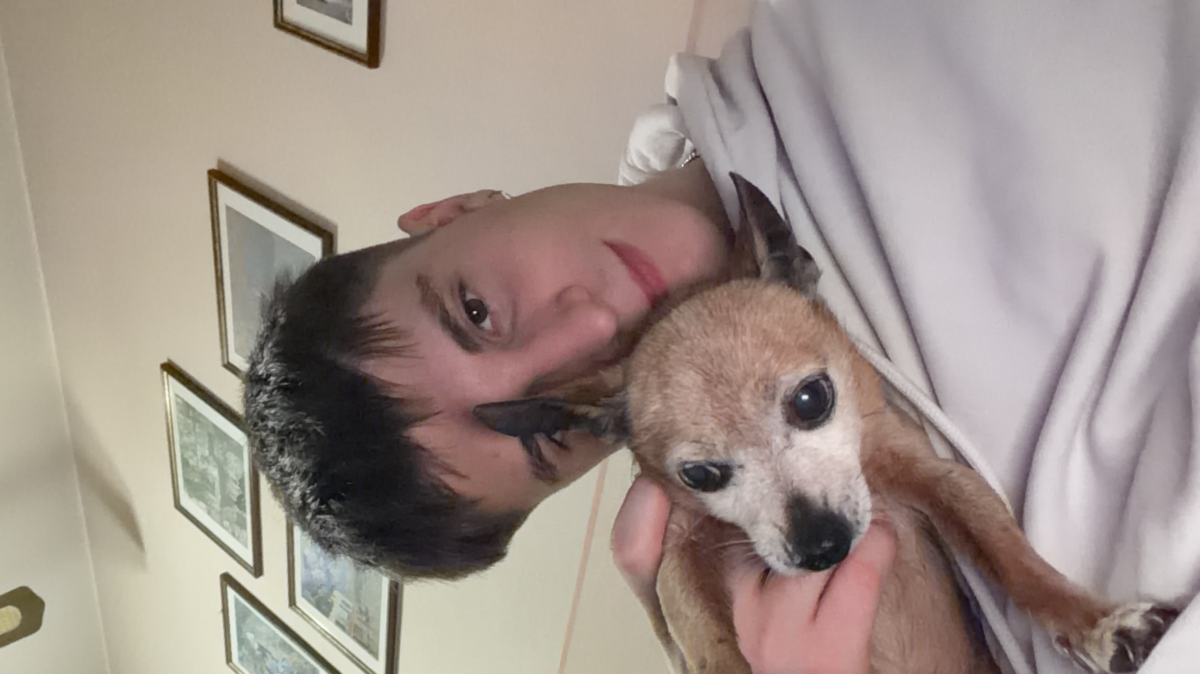 image-8